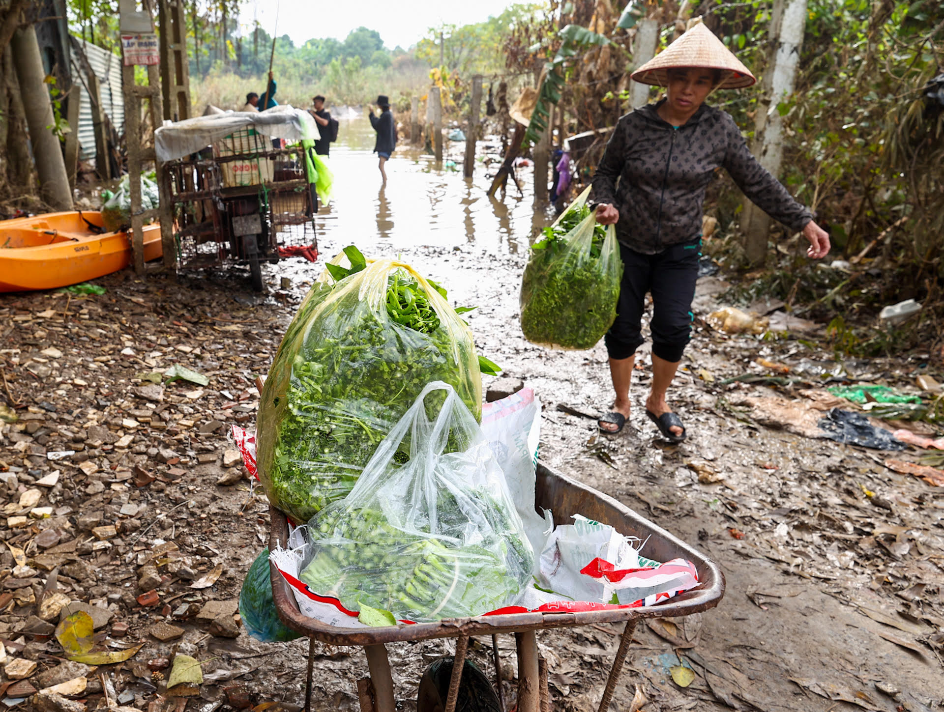 Chị Hà (người dân sống tại khu vực bãi giữa sông Hồng) gặp nhiều khó khăn khi vận chuyển rau đang trồng ở khu vực bãi giữa vào chợ trung tâm để bán.