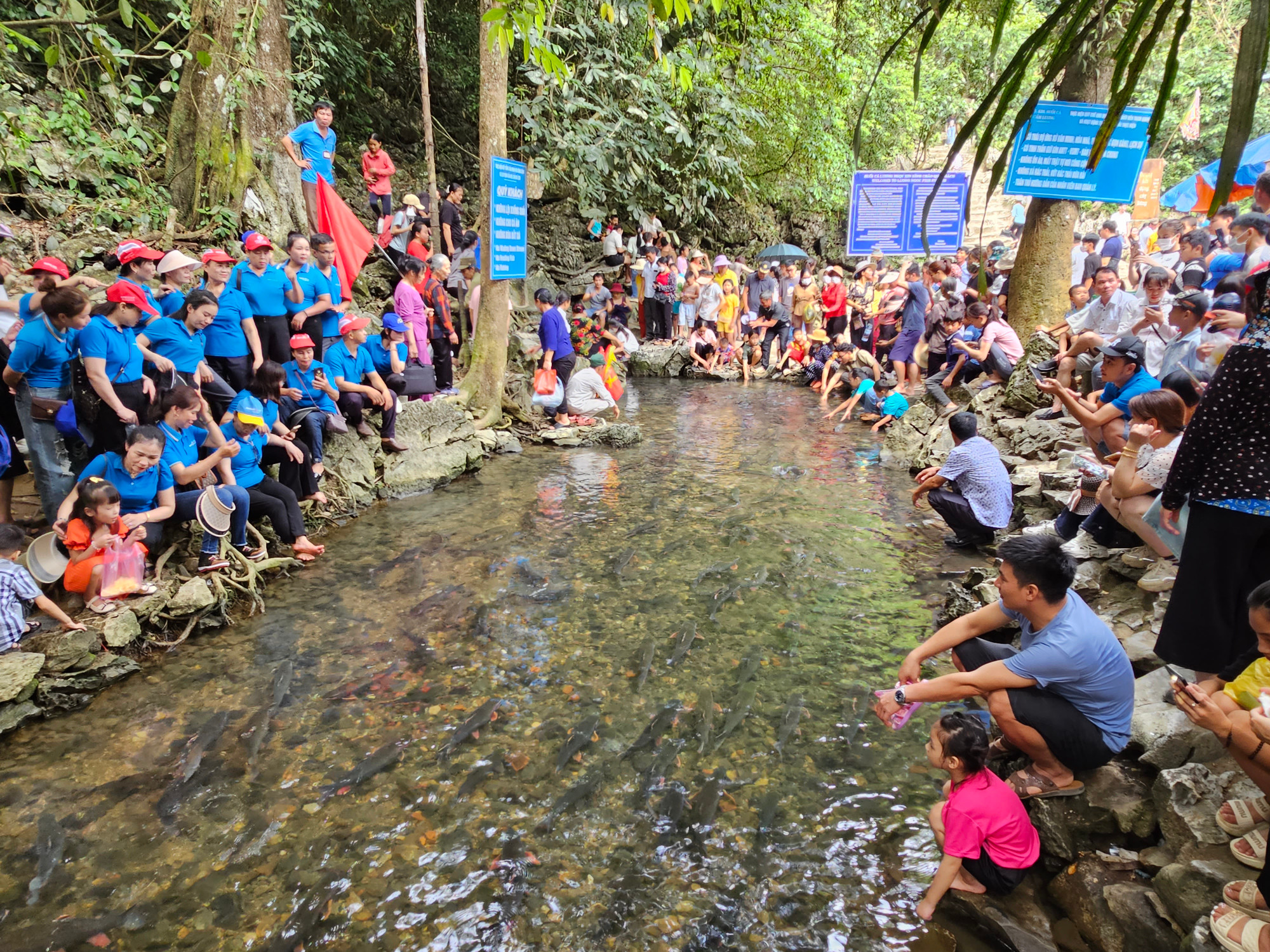 Suối cá Cẩm Lương ở huyện Cẩm Thủy, tỉnh Thanh Hóa - điểm đến của khách thập phương.
