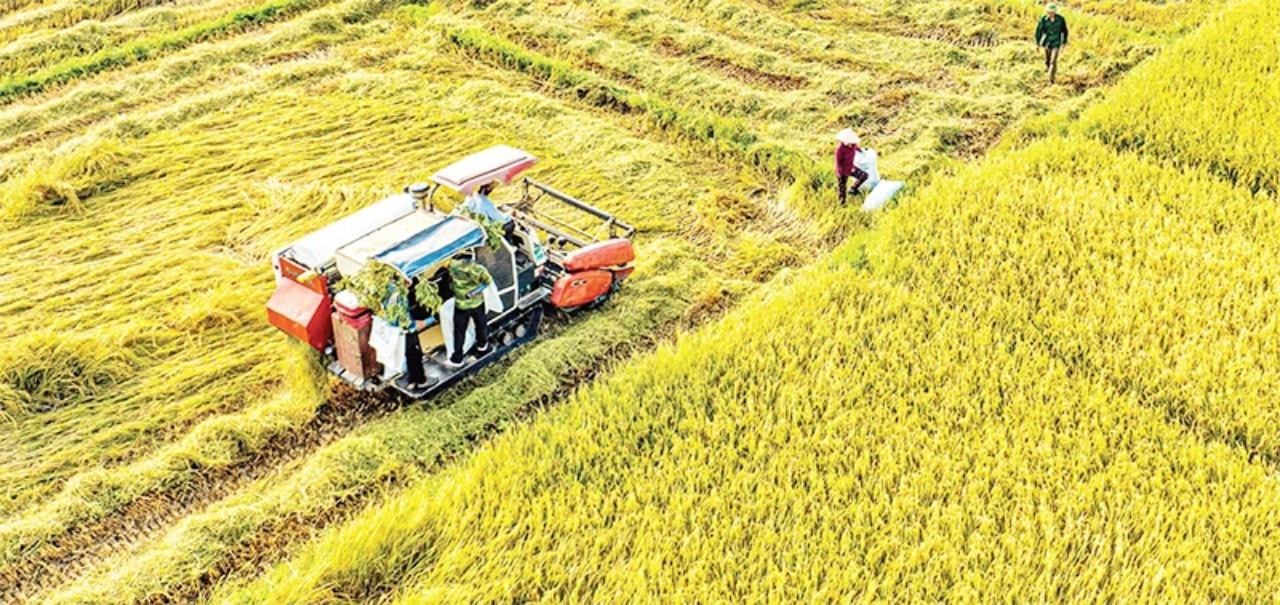 Nông dân Hà Tĩnh ứng dụng cơ giới hóa rút ngắn thời gian sản xuất.