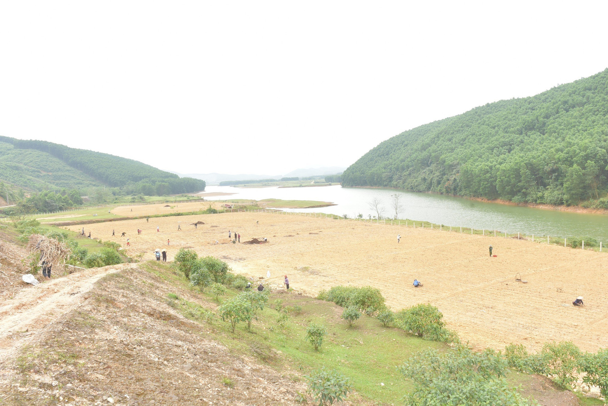 Cánh đồng sản xuất của bà con dân tộc Chứt ở bản Rào Tre (Hương Khê).