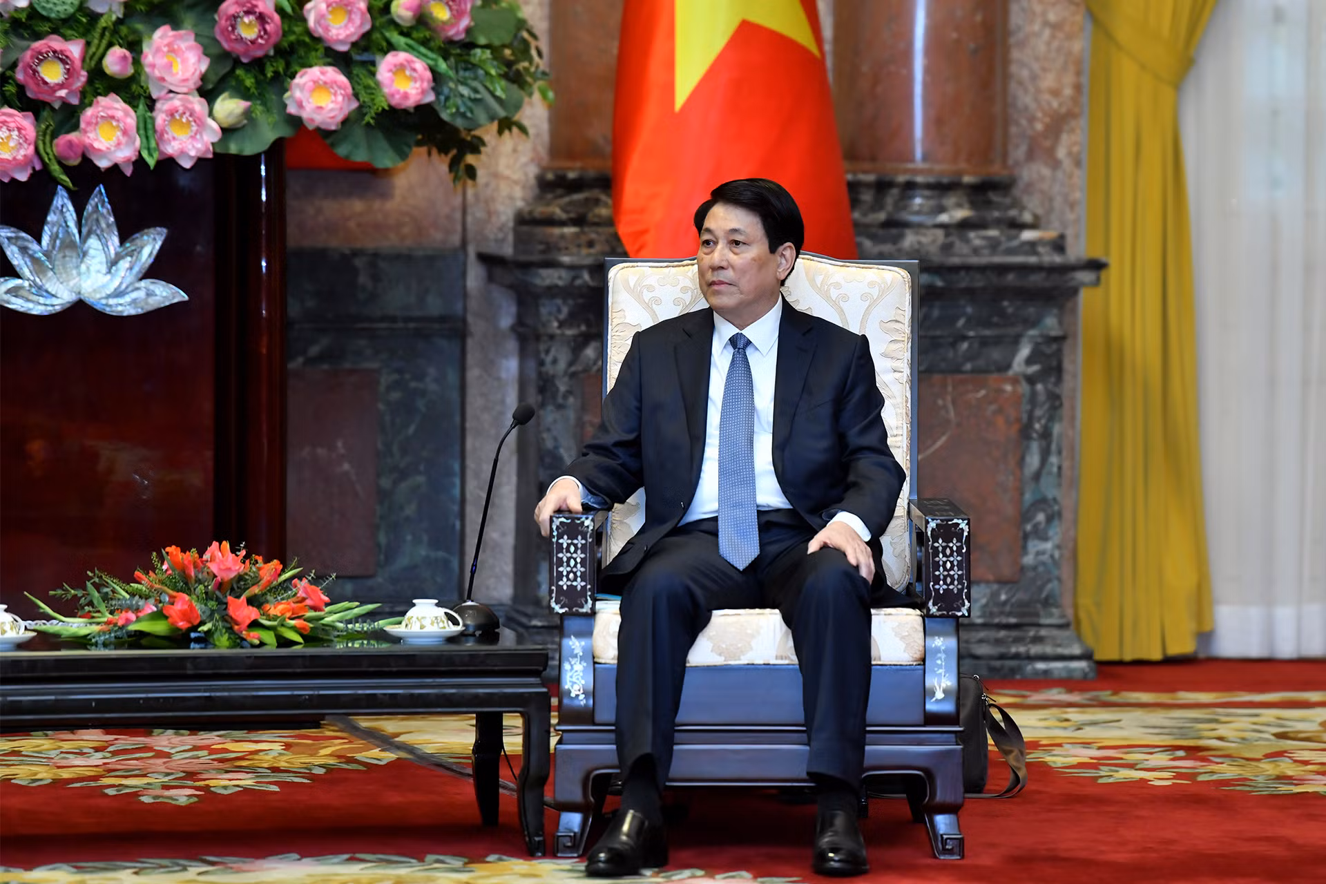 Chủ tịch nước Lương Cường phát biểu tại buổi tiếp.