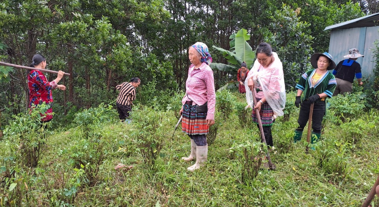 Nhân dân Mường Nhé hỗ trợ các trường học trên địa bàn cải tạo vườn tạp, trồng rau phục vụ bữa ăn cho học sinh.