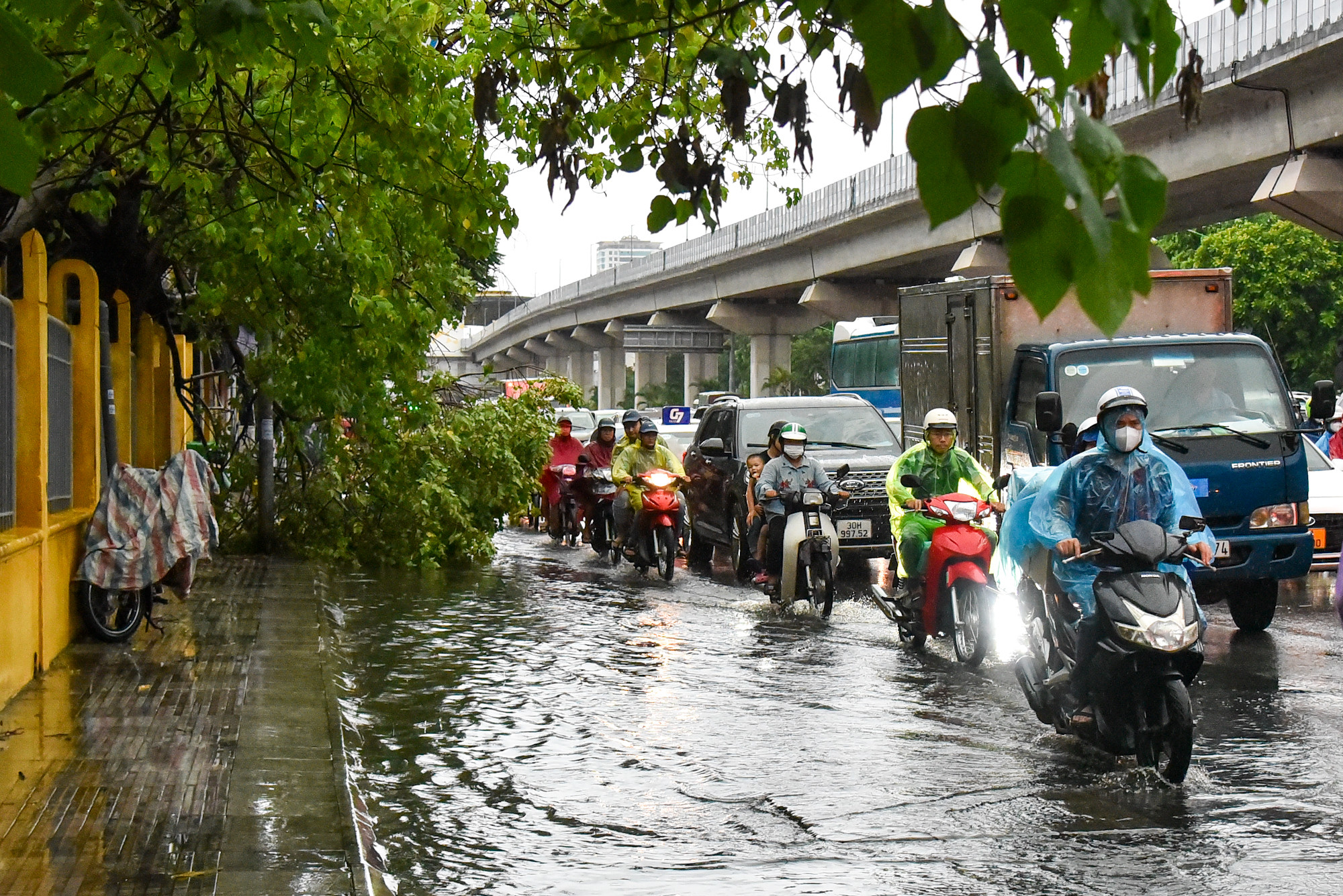 Tại đường Nguyễn Trãi xảy ra ngập nặng, cây đổ xuống đường.