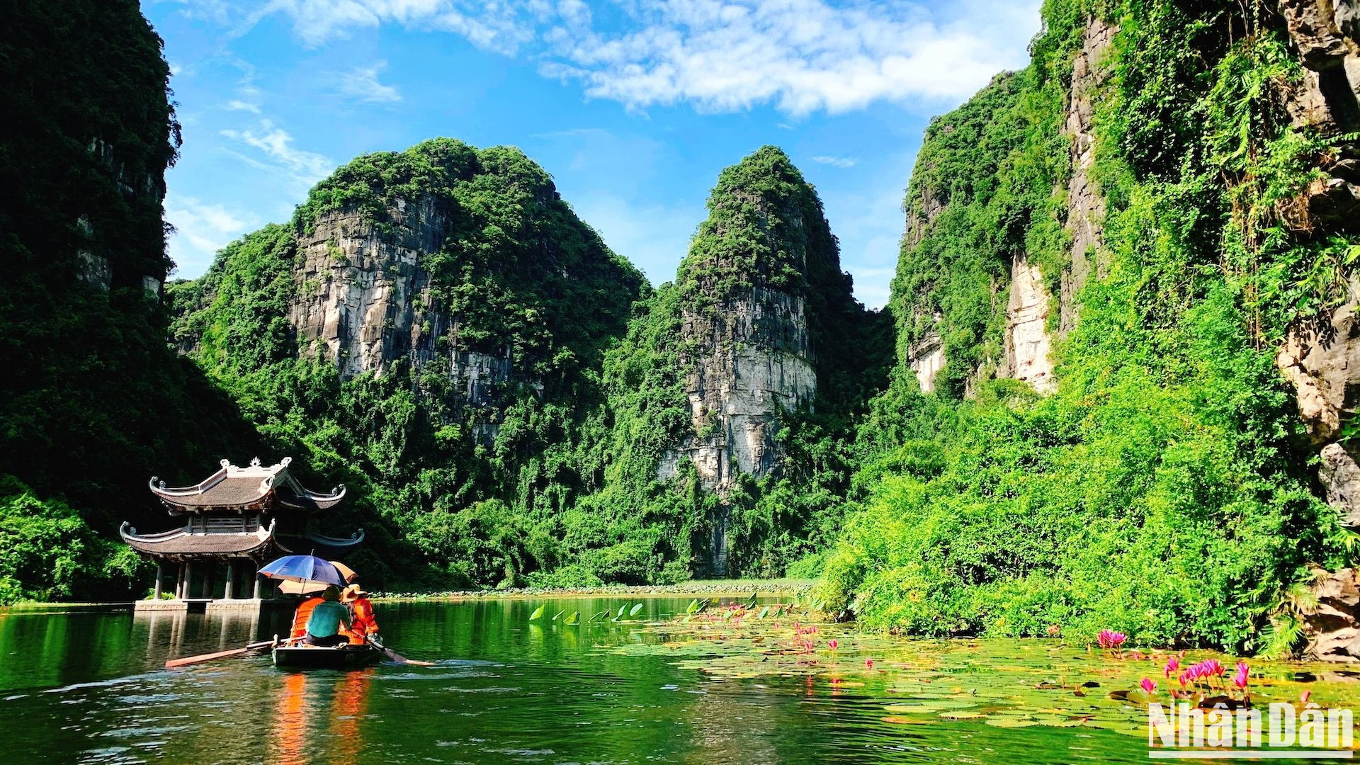 Trời xanh, mây trắng, hoa súng tím rộ nở quanh Thuỷ Đình, đến Tràng An như lạc vào chốn bồng lai tiên cảnh.