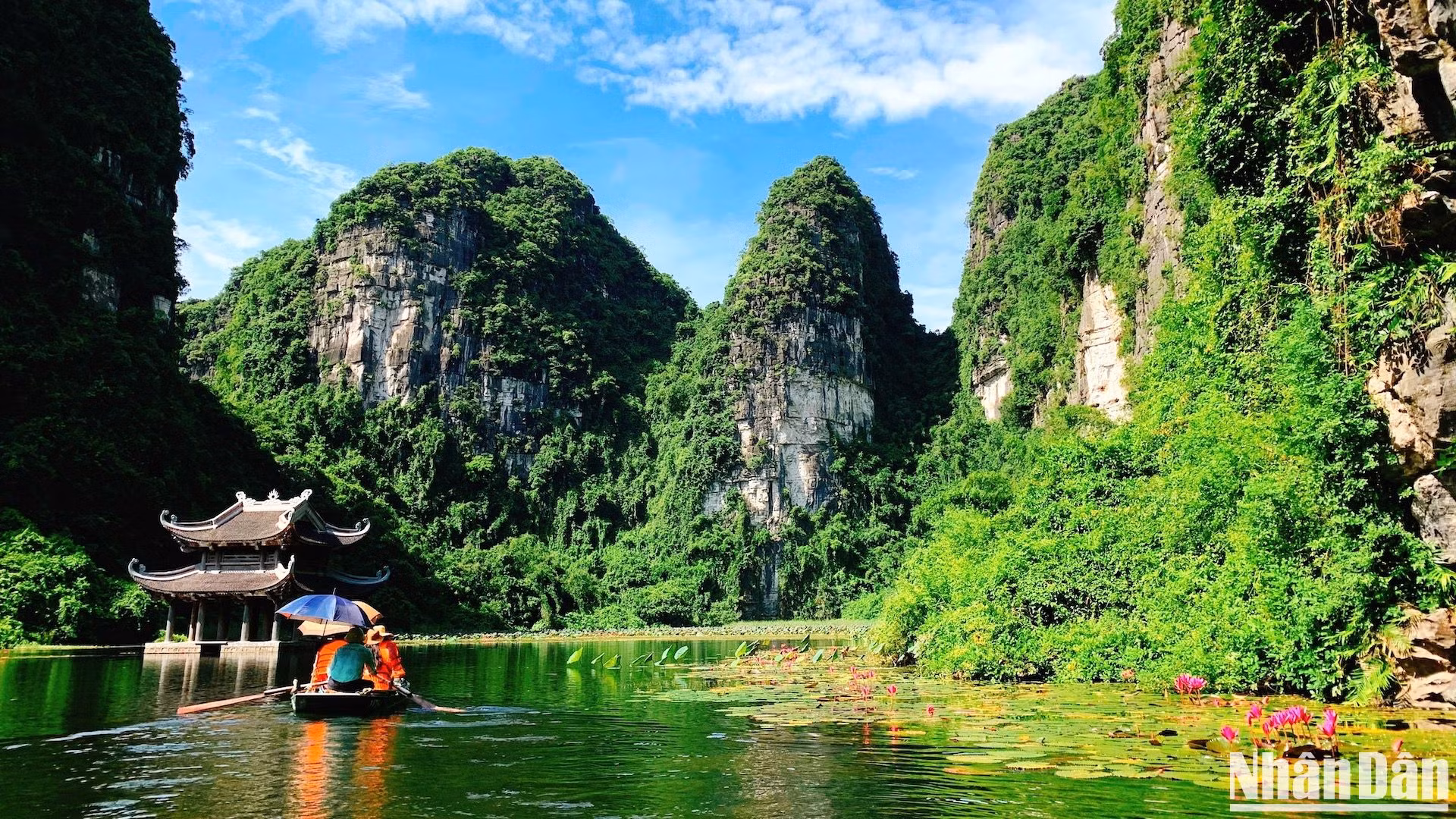 Trời xanh, mây trắng, hoa súng tím rộ nở quanh Thuỷ Đình, đến Tràng An như lạc vào chốn bồng lai tiên cảnh.