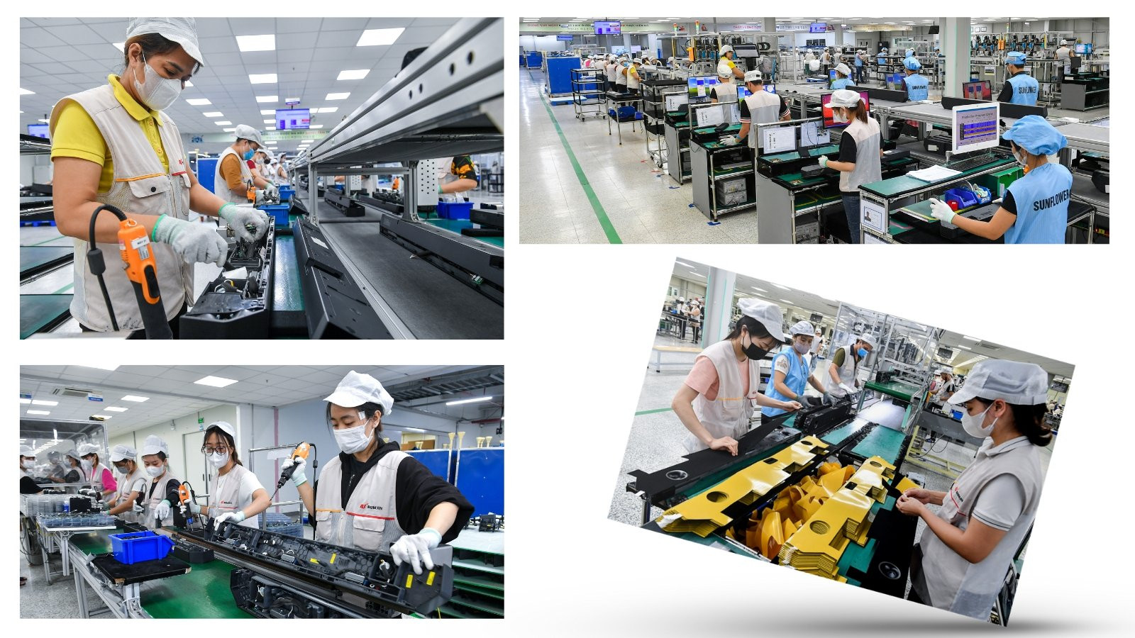 (Ảnh: Thành Đạt) (Ảnh: Thành Đạt)