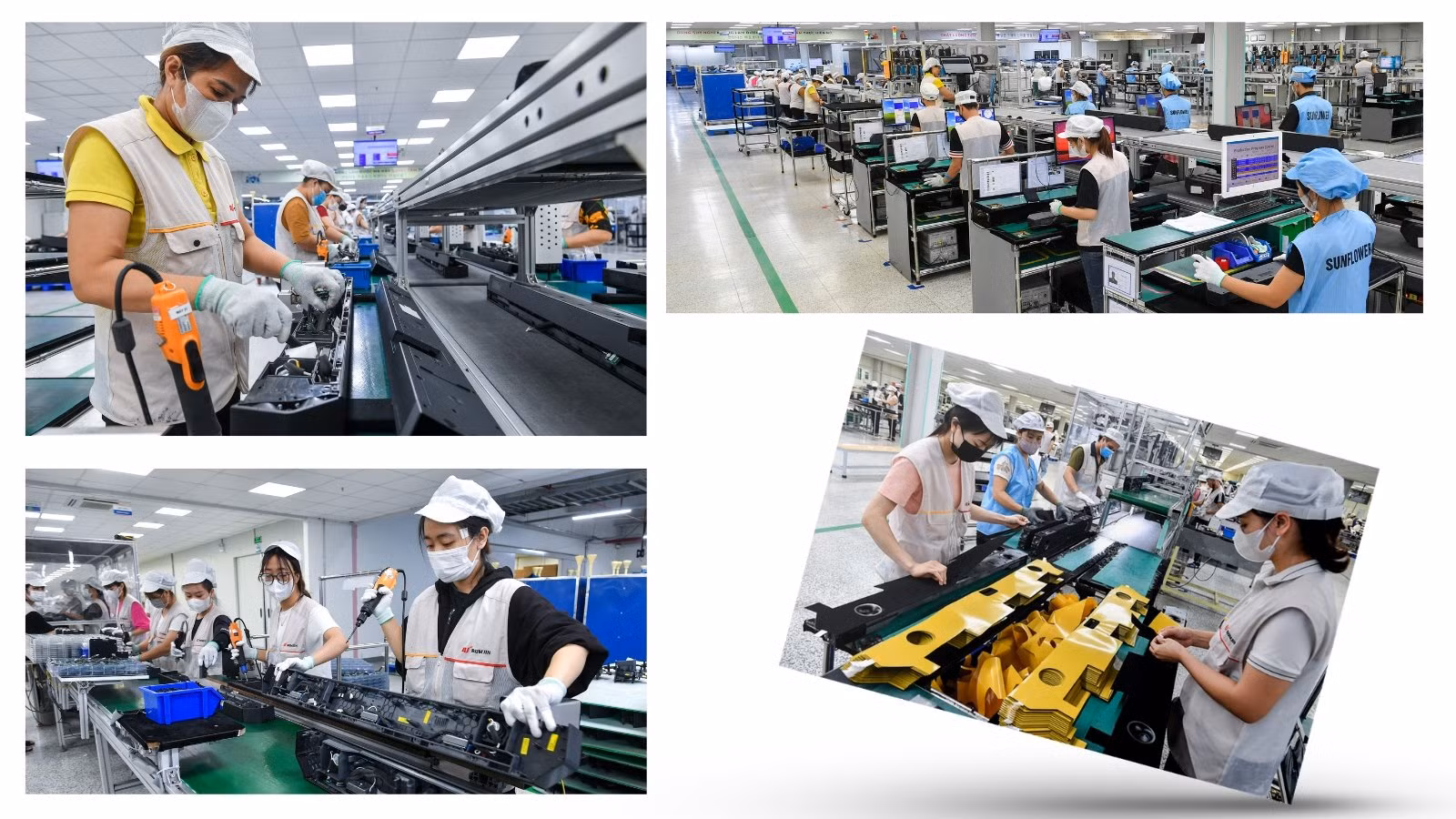 (Ảnh: Thành Đạt)