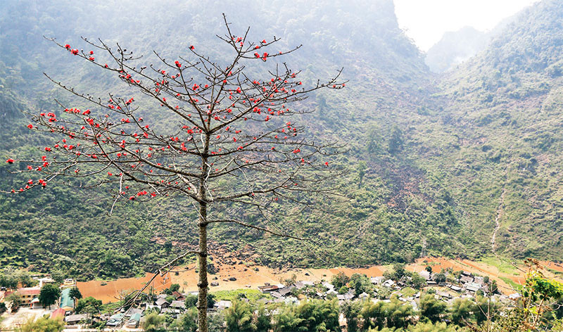 Nguồn cảm hứng bất tận cho du khách yêu nghệ thuật.