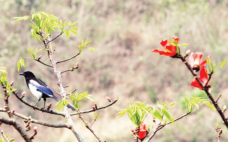 Hoang sơ và quyến rũ.