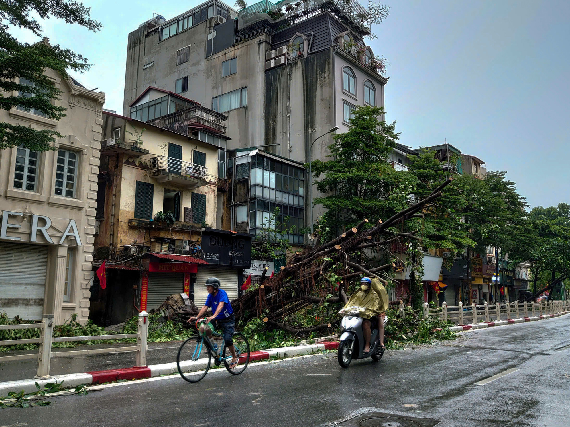 Tại phố Tôn Đức Thắng, cây cổ thụ đổ chắn ngang 1 chiều đường. (Ảnh: DUY LINH)