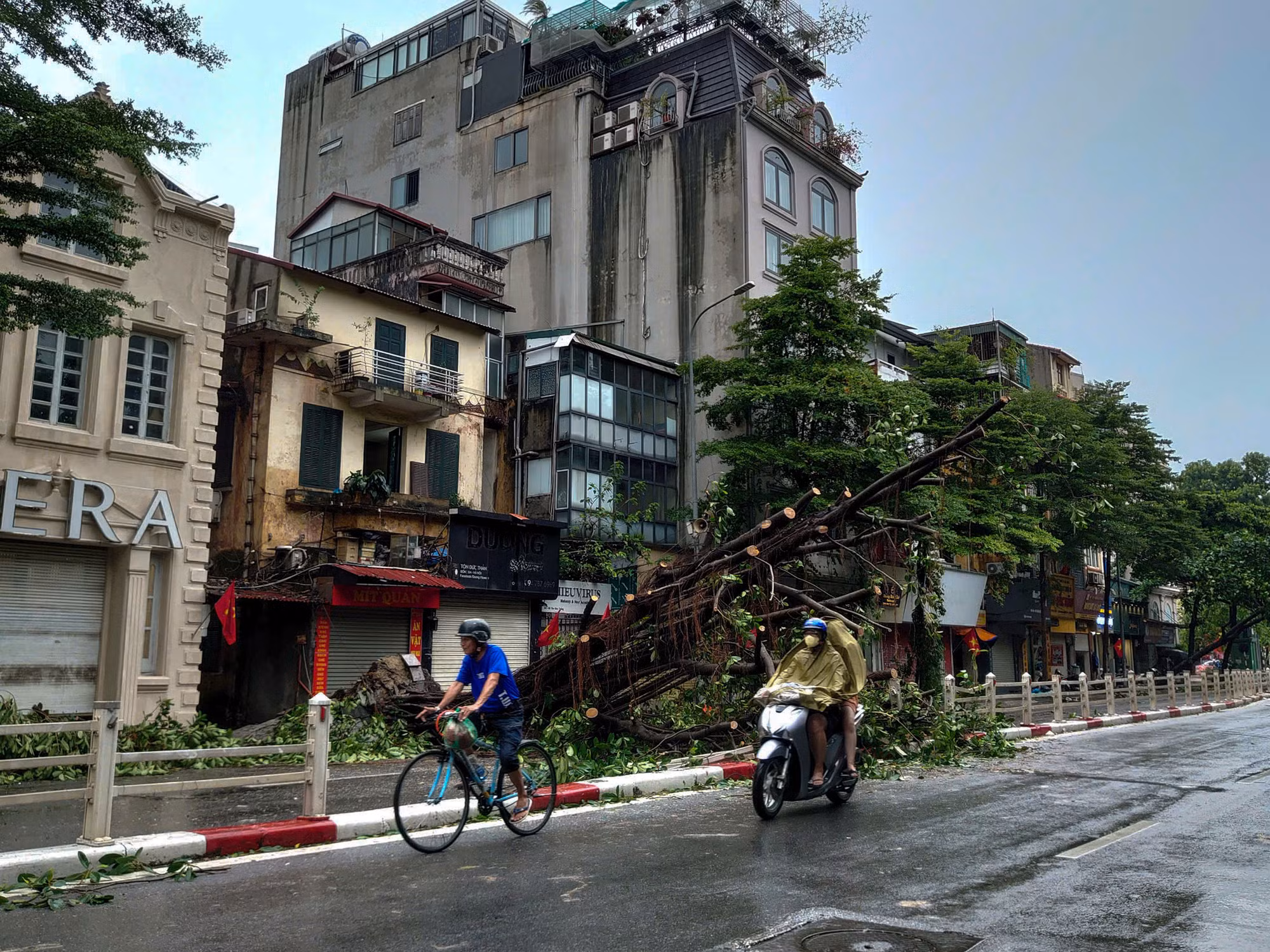 Tại phố Tôn Đức Thắng, cây cổ thụ đổ chắn ngang 1 chiều đường. (Ảnh: DUY LINH) Tại phố Tôn Đức Thắng, cây cổ thụ đổ chắn ngang 1 chiều đường. (Ảnh: DUY LINH)