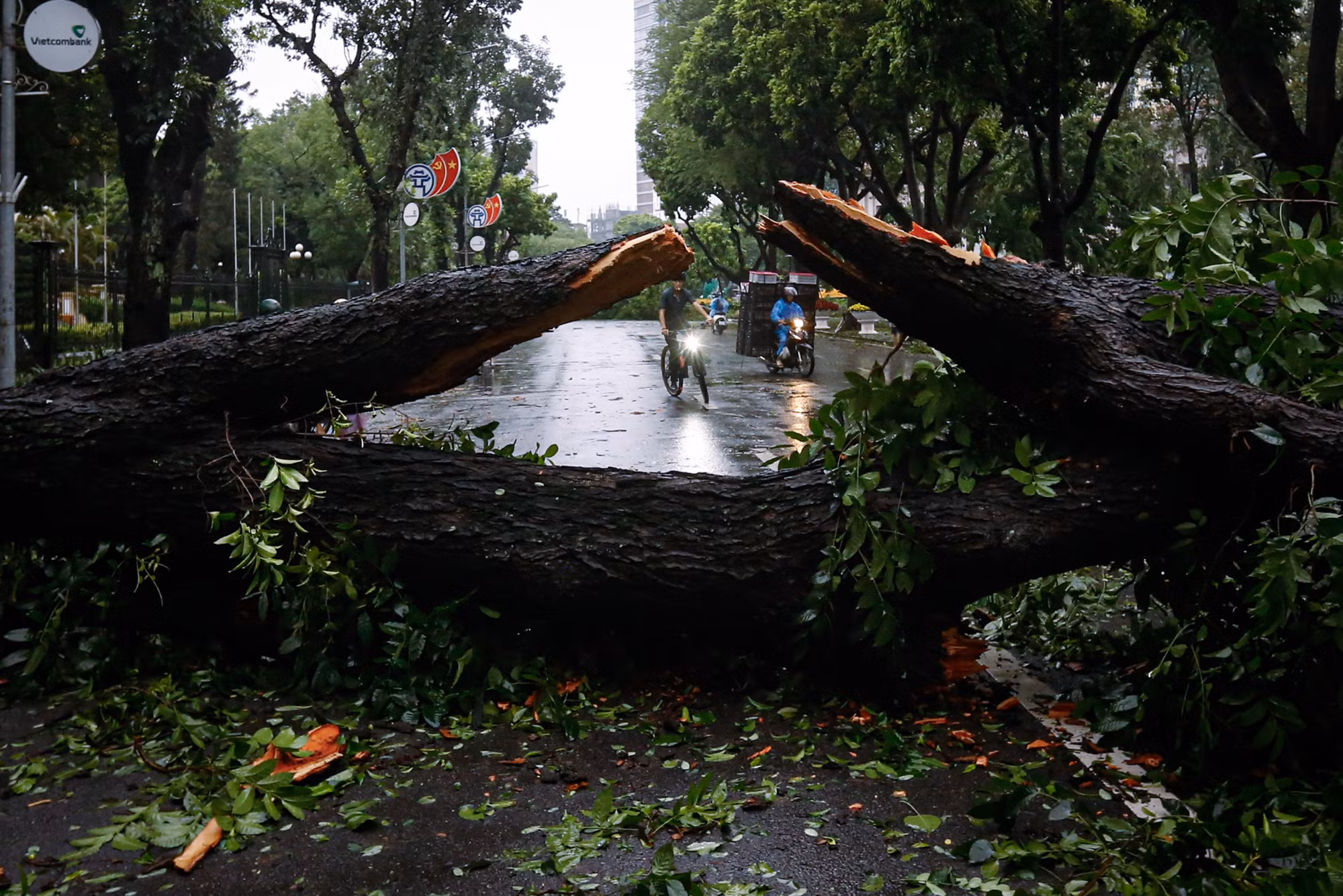 Cây cổ thụ đổ chắn ngang đường tại phố Ngô Quyền. (Ảnh: DUY LINH) Cây cổ thụ đổ chắn ngang đường tại phố Ngô Quyền. (Ảnh: DUY LINH)
