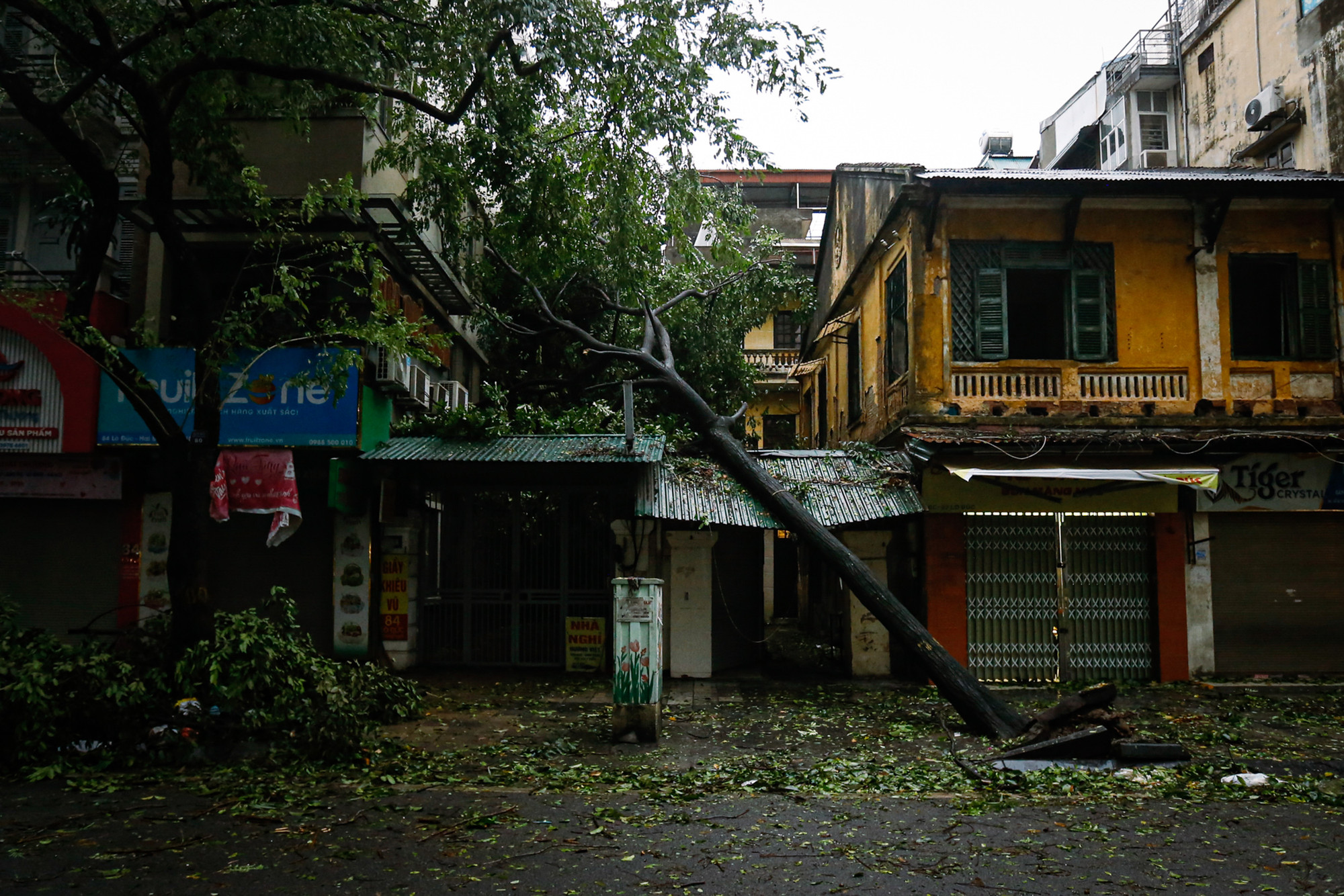 Nhiều cây lớn đổ vào nhà dân tại phố Lò Đúc. (Ảnh: DUY LINH)