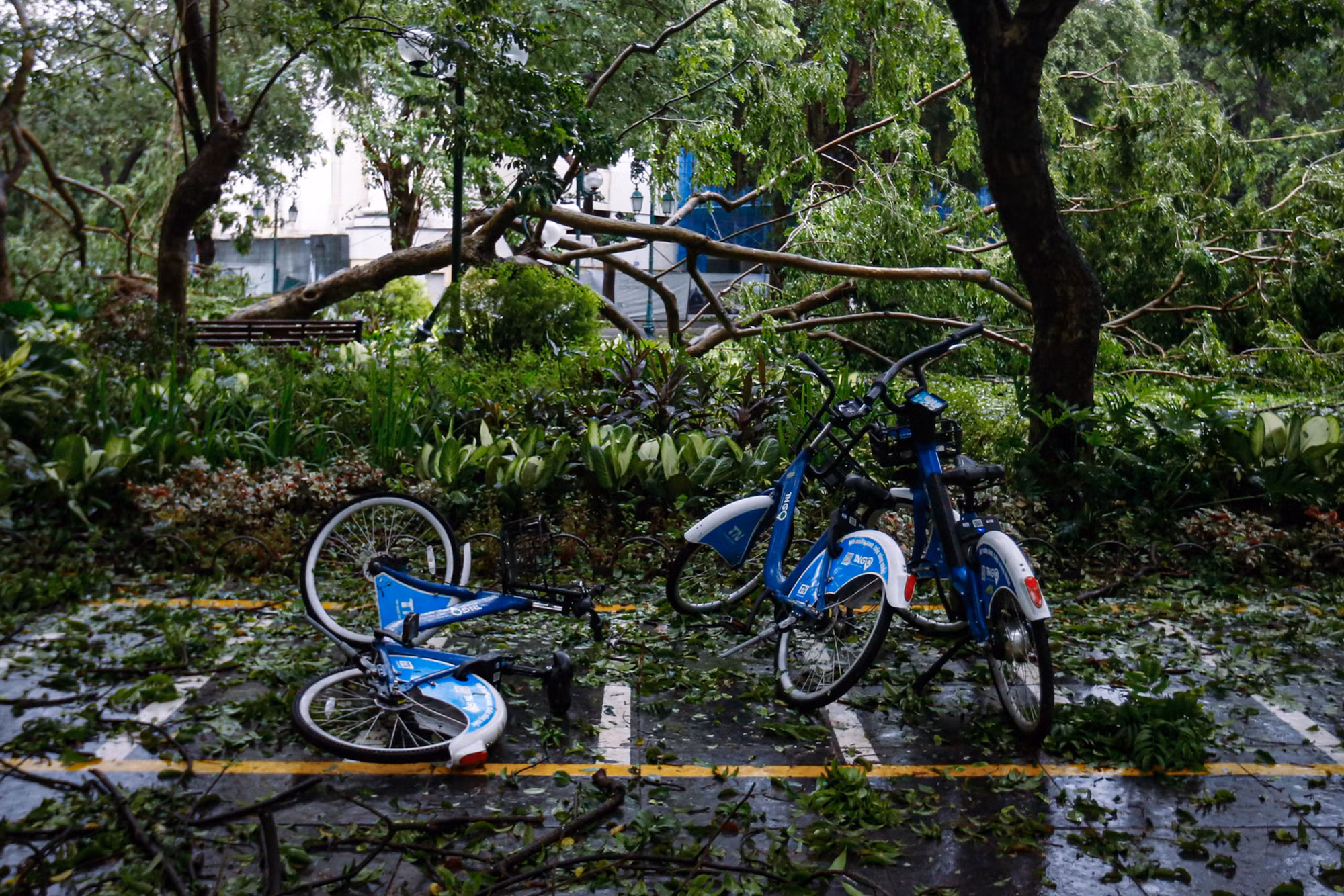 Nhiều điểm xe đạp công cộng hư hỏng do bị cành cây, cây lớn đổ xuống. (Ảnh: DUY LINH) Nhiều điểm xe đạp công cộng hư hỏng do bị cành cây, cây lớn đổ xuống. (Ảnh: DUY LINH)