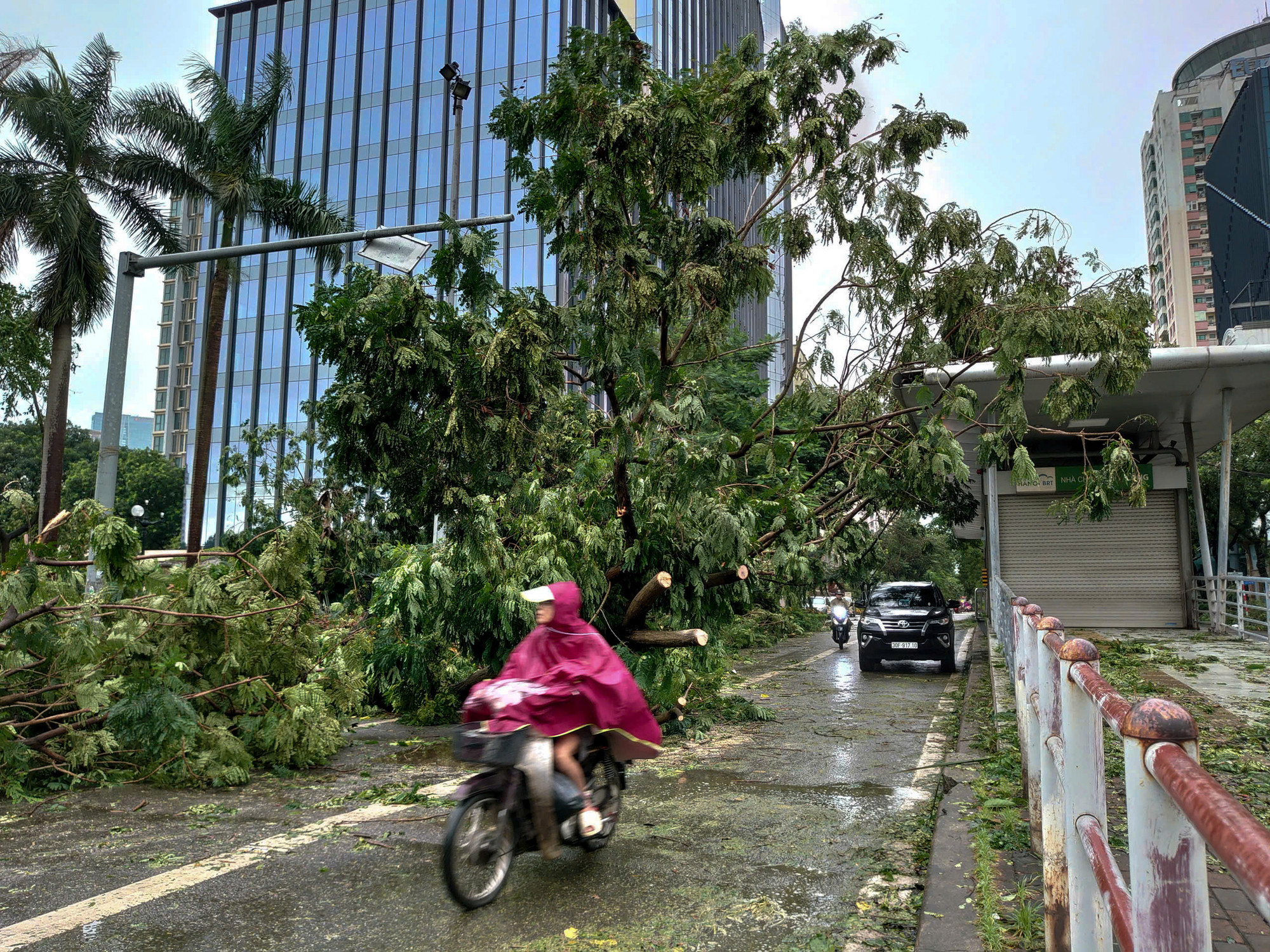 Phố Láng Hạ cây lớn đổ chắn ngang đường, các phương tiện phải “ luồn lách” qua để di chuyển. (Ảnh: DUY LINH)