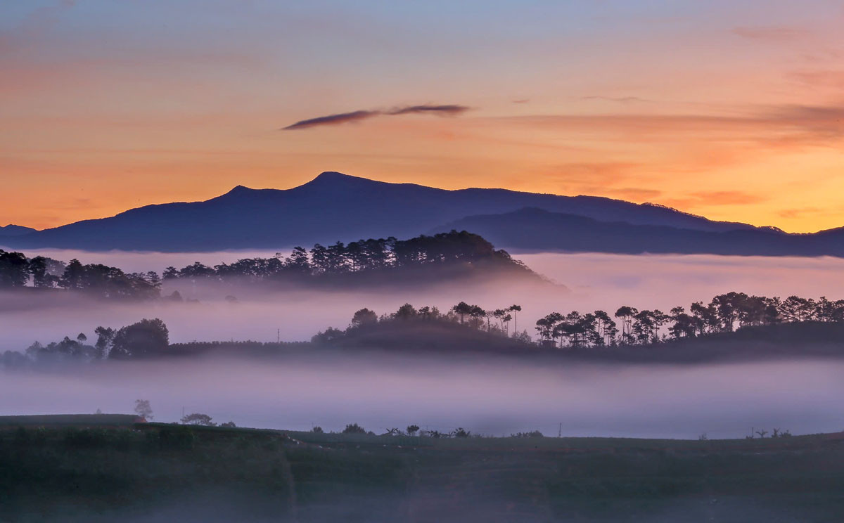 Bồng bềnh. (Ảnh: Võ Trang)