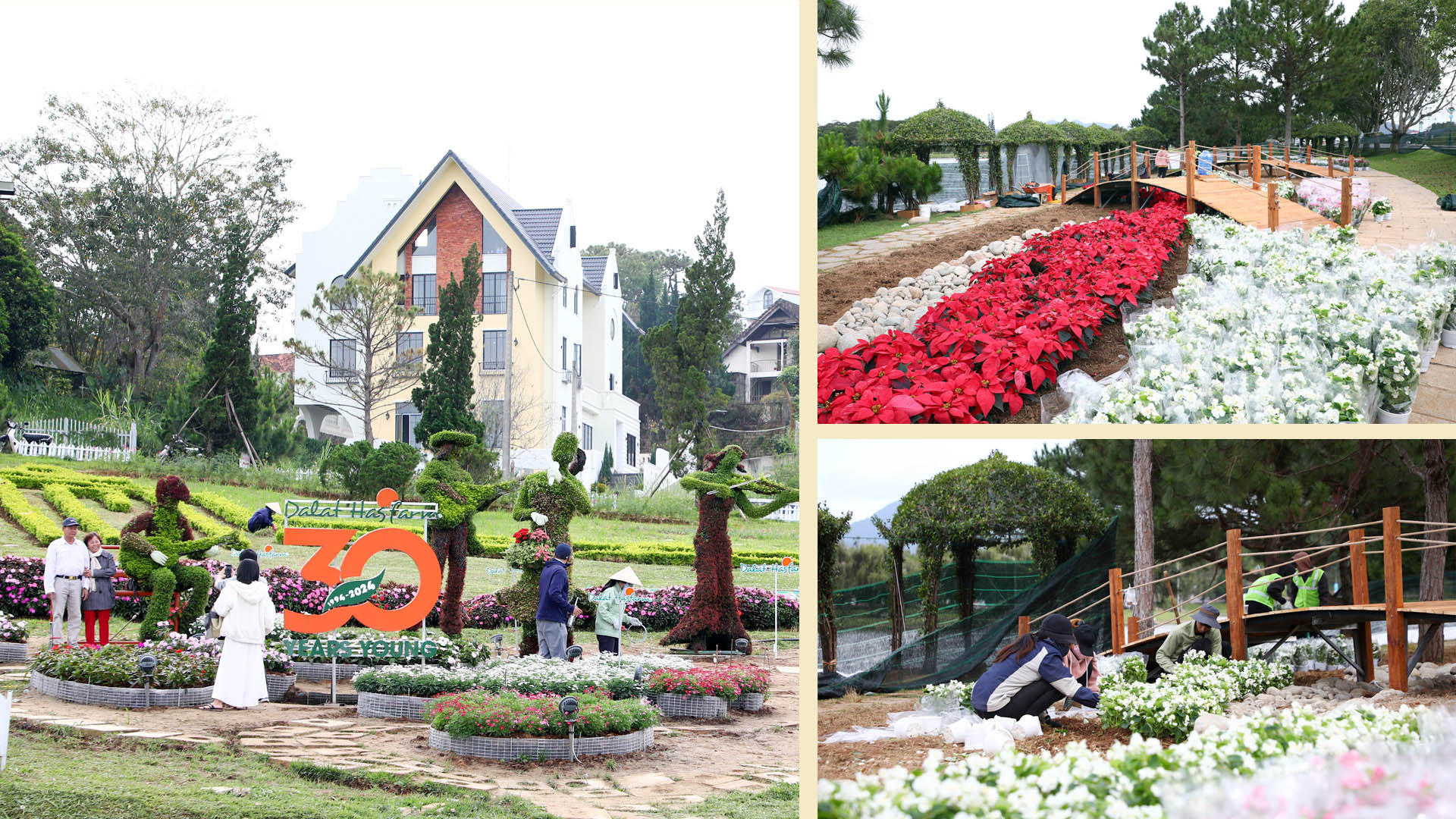 Trong quá trình công nhân hoàn thiện các không gian hoa, nhiều du khách đã kịp lưu dấu khoảnh khắc với hoa Đà Lạt.