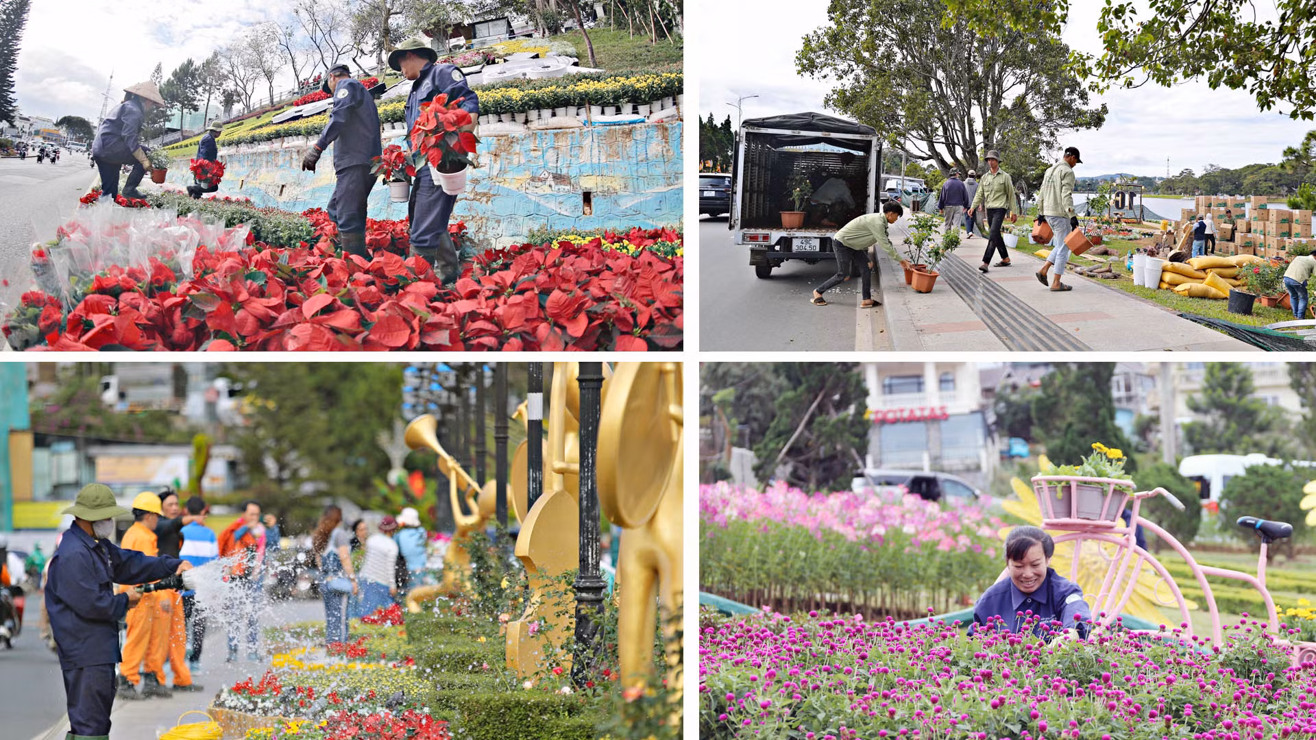 Các không gian hoa, tiểu cảnh hoa khu vực trung tâm phố núi Đà Lạt đang được gấp rút hoàn thiện.
