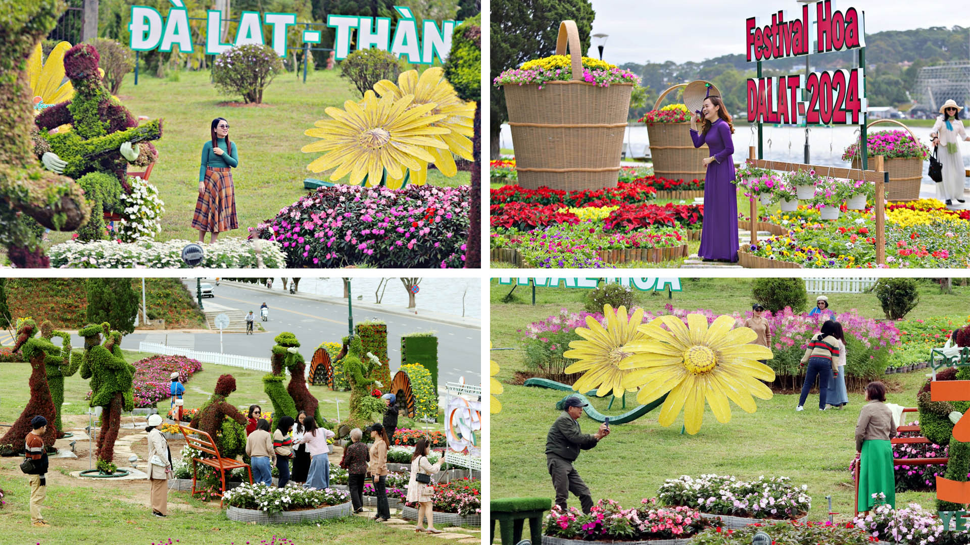 Xứ ngàn hoa Đà Lạt sẵn sàng cho "đại tiệc hoa" lần thứ 10 chính thức khai hội ngày 5/12.