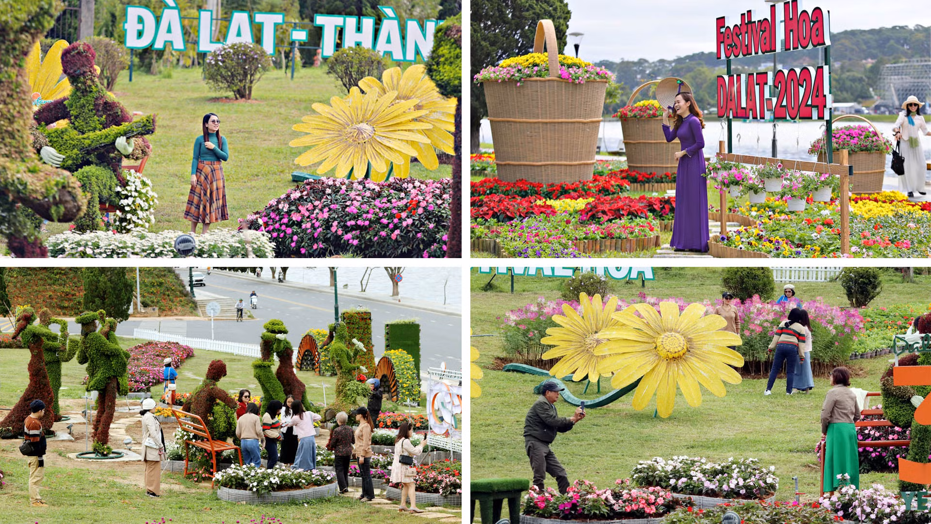 Xứ ngàn hoa Đà Lạt sẵn sàng cho "đại tiệc hoa" lần thứ 10 chính thức khai hội ngày 5/12.