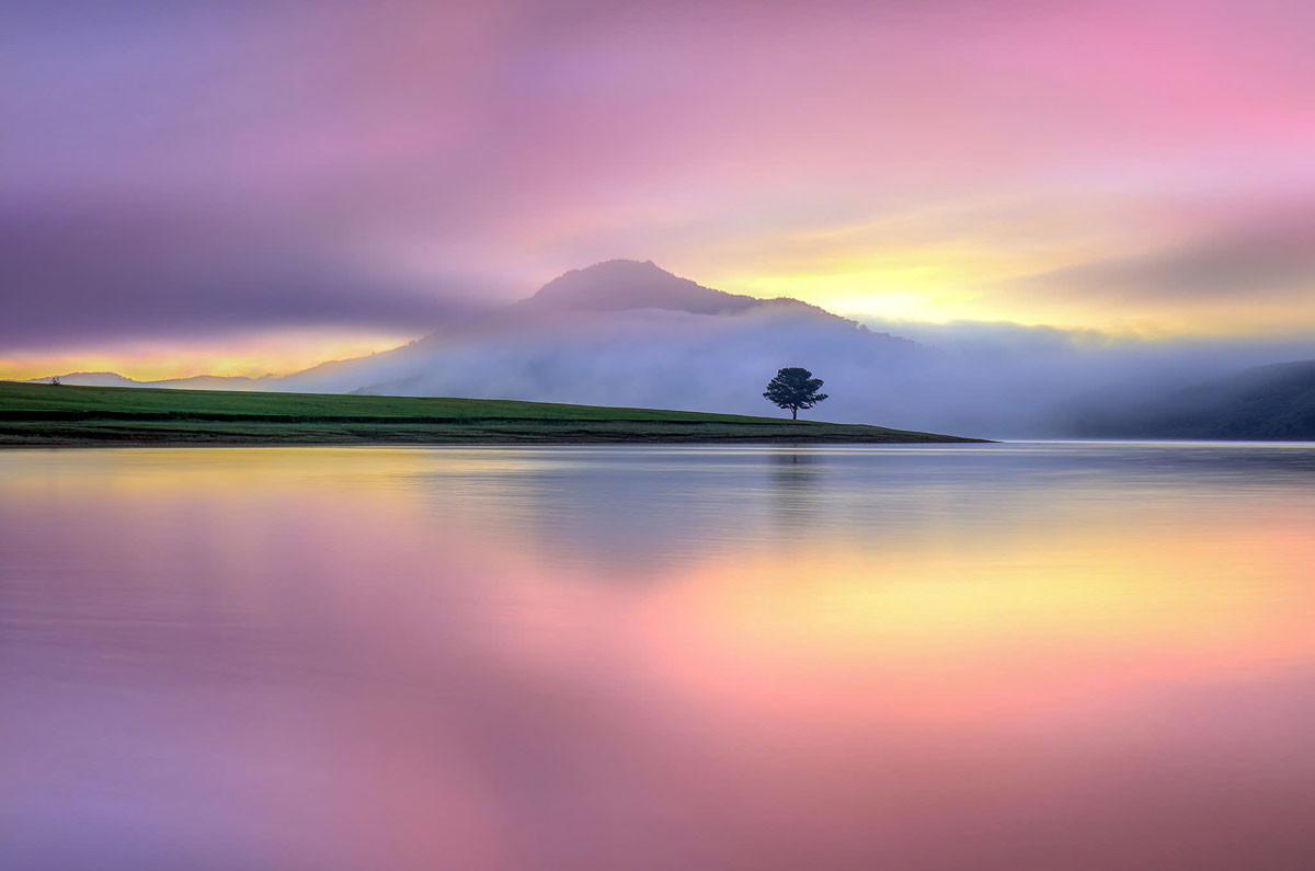 Tĩnh lặng. (Ảnh: Võ Trang)