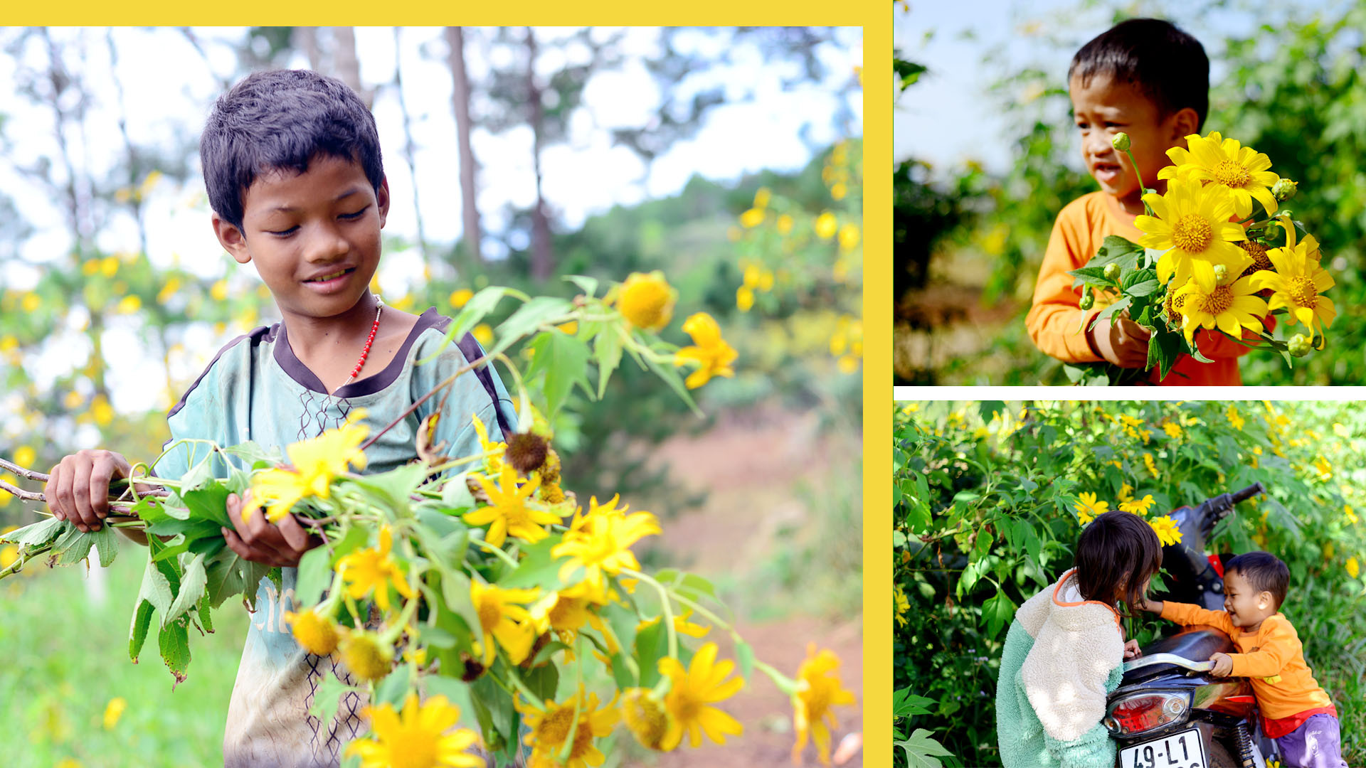 Những cành hoa dại dung dị, không hương đã trở thành thú chơi của lũ trẻ khi theo cha mẹ xuống thăm vườn sản xuất nông nghiệp. Những cành hoa dại dung dị, không hương đã trở thành thú chơi của lũ trẻ khi theo cha mẹ xuống thăm vườn sản xuất nông nghiệp.