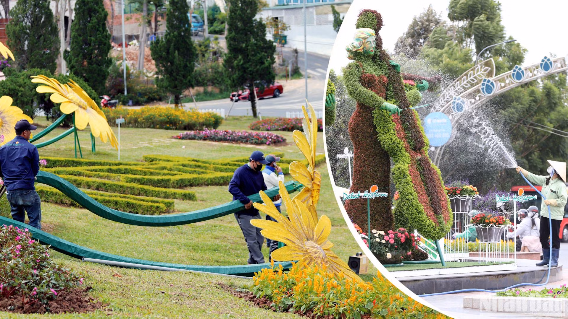 Với chủ đề “Hoa Đà Lạt - bản giao hưởng sắc màu”, Festival Hoa Đà Lạt lần thứ X chính thức khai hội tối 5/12 tại Quảng trường Lâm Viên, thành phố Đà Lạt.