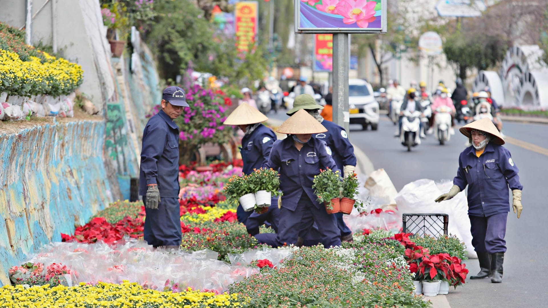 Không khí mùa hội hoa rộn ràng trên cung đường trung tâm thành phố ngàn hoa Đà Lạt.