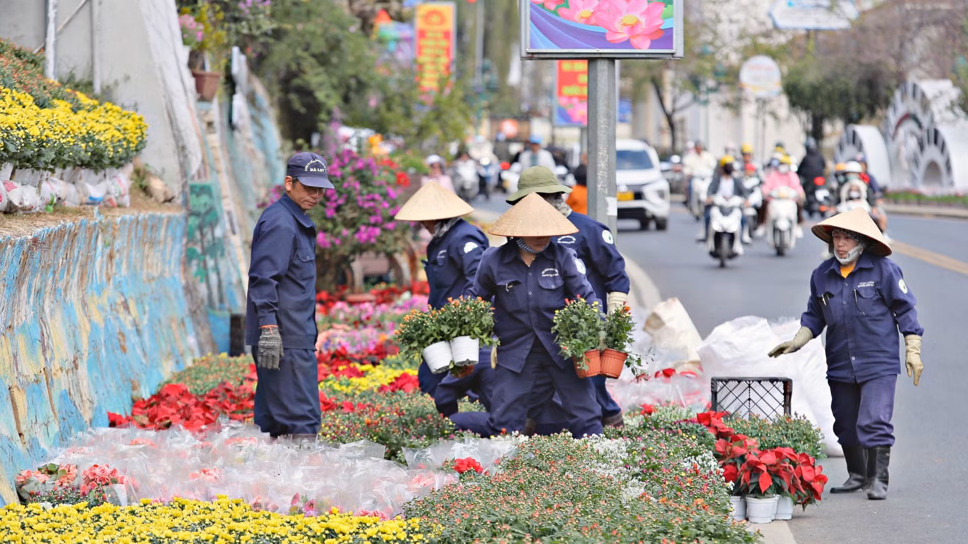 Không khí mùa hội hoa rộn ràng trên cung đường trung tâm thành phố ngàn hoa Đà Lạt.