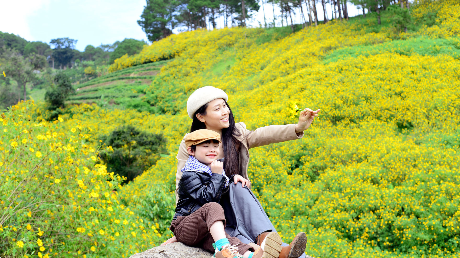 Trong âm giai "Đà Lạt lập đông" của nhạc sĩ Thế Hiển: "Đà Lạt lập đông hoa vàng vừa mới nở/ Ta còn chờ em một giấc mơ hoàng lan...", mùa này, đến vùng ven đô hay vùng lân cận phố thị Đà Lạt, du khách sẽ có những góc máy như "giấc mơ hoàng lan". Trong âm giai "Đà Lạt lập đông" của nhạc sĩ Thế Hiển: "Đà Lạt lập đông hoa vàng vừa mới nở/ Ta còn chờ em một giấc mơ hoàng lan...", mùa này, đến vùng ven đô hay vùng lân cận phố thị Đà Lạt, du khách sẽ có những góc máy như "giấc mơ hoàng lan".