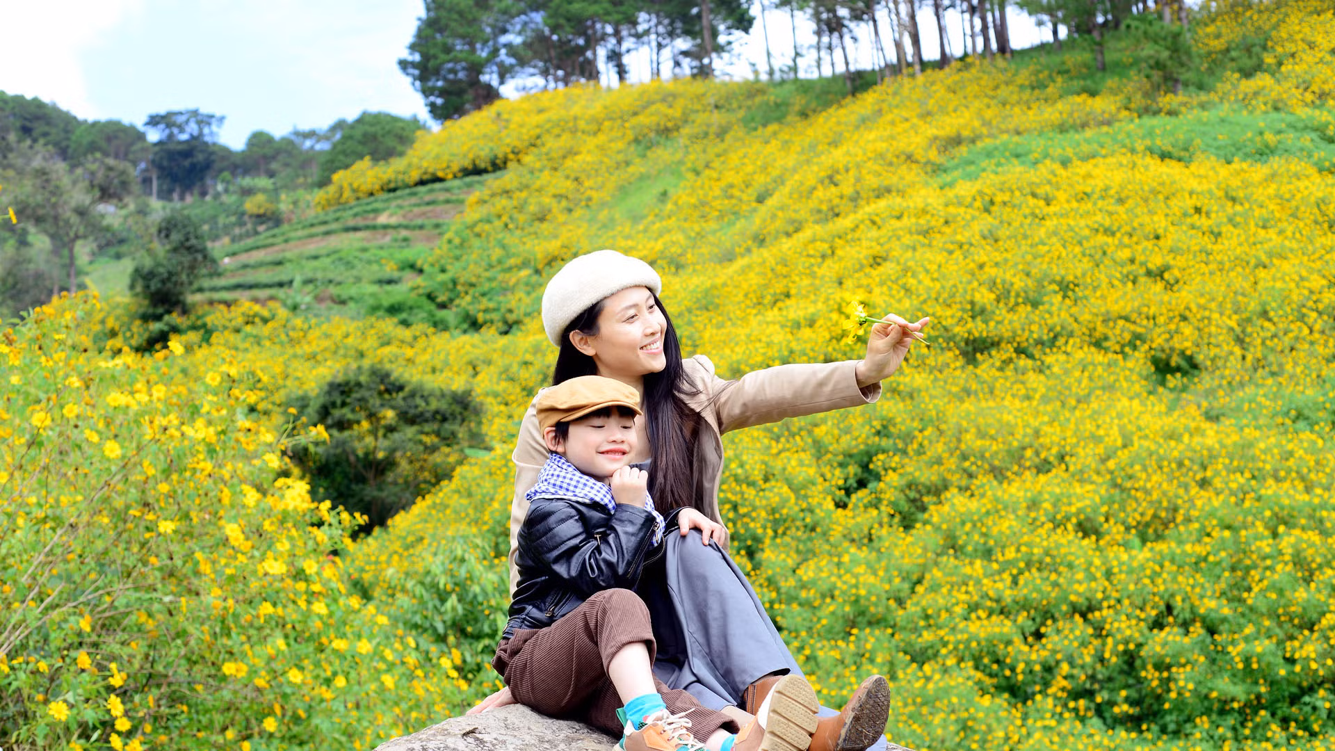 Trong âm giai "Đà Lạt lập đông" của nhạc sĩ Thế Hiển: "Đà Lạt lập đông hoa vàng vừa mới nở/ Ta còn chờ em một giấc mơ hoàng lan...", mùa này, đến vùng ven đô hay vùng lân cận phố thị Đà Lạt, du khách sẽ có những góc máy như "giấc mơ hoàng lan".