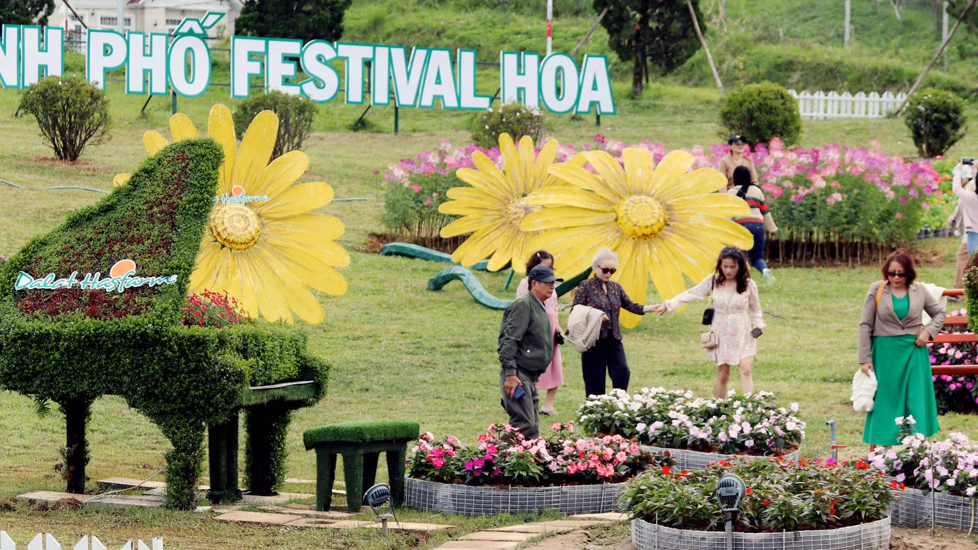 Lễ khai mạc và nhiều chương trình tại Festival Hoa Đà Lạt lần thứ X, “hoa dã quỳ” được chọn làm hình tượng nghệ thuật và âm nhạc để thể hiện tư tưởng chủ đạo về ý chí vượt qua khó khăn, khát vọng vươn lên, tin tưởng vào tương lai tốt đẹp của vùng đất phía nam Tây Nguyên - Lâm Đồng.