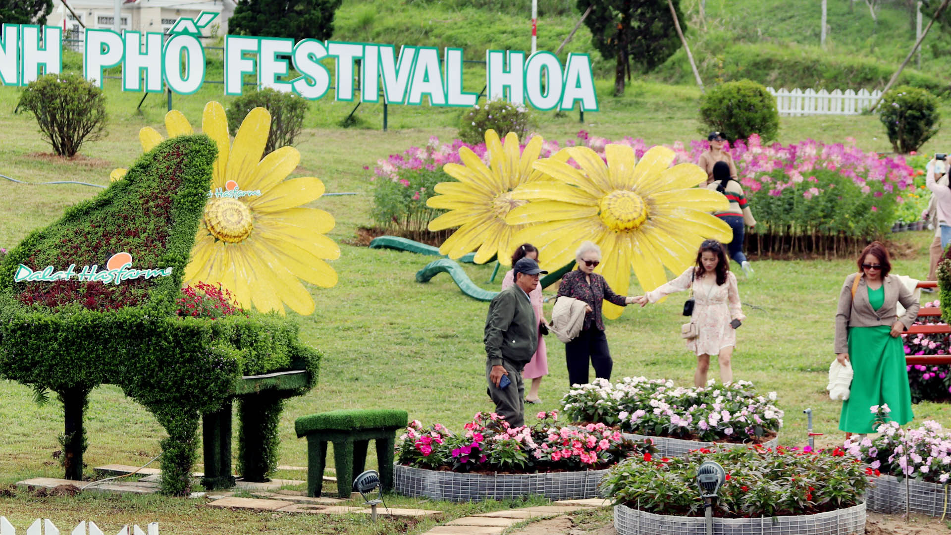 Lễ khai mạc và nhiều chương trình tại Festival Hoa Đà Lạt lần thứ X, “hoa dã quỳ” được chọn làm hình tượng nghệ thuật và âm nhạc để thể hiện tư tưởng chủ đạo về ý chí vượt qua khó khăn, khát vọng vươn lên, tin tưởng vào tương lai tốt đẹp của vùng đất phía nam Tây Nguyên - Lâm Đồng.