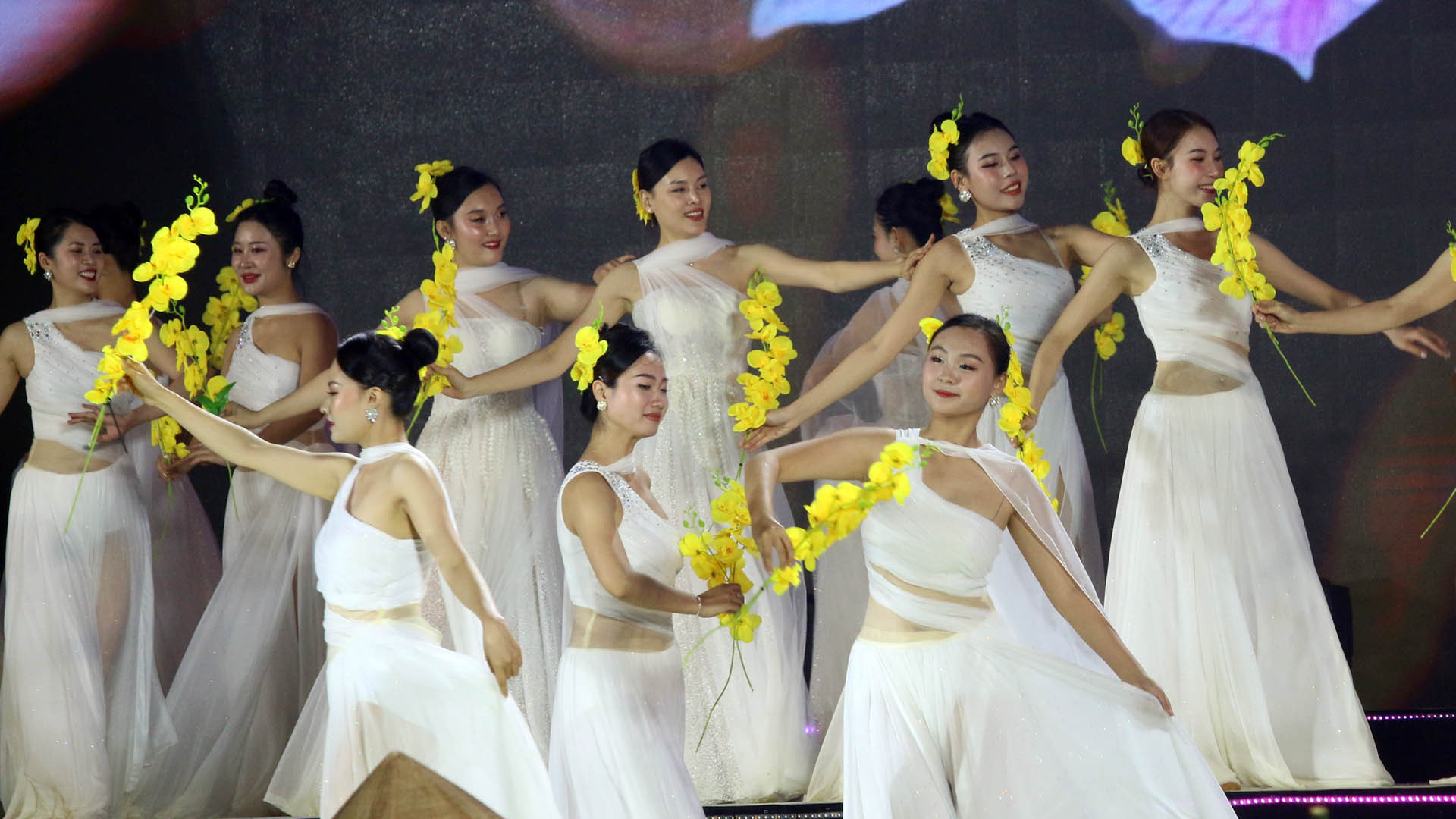 Cùng với "hương trà, sắc tơ", Bảo Lộc còn có sự hiện diện của loài hoa vương giả - phong lan.