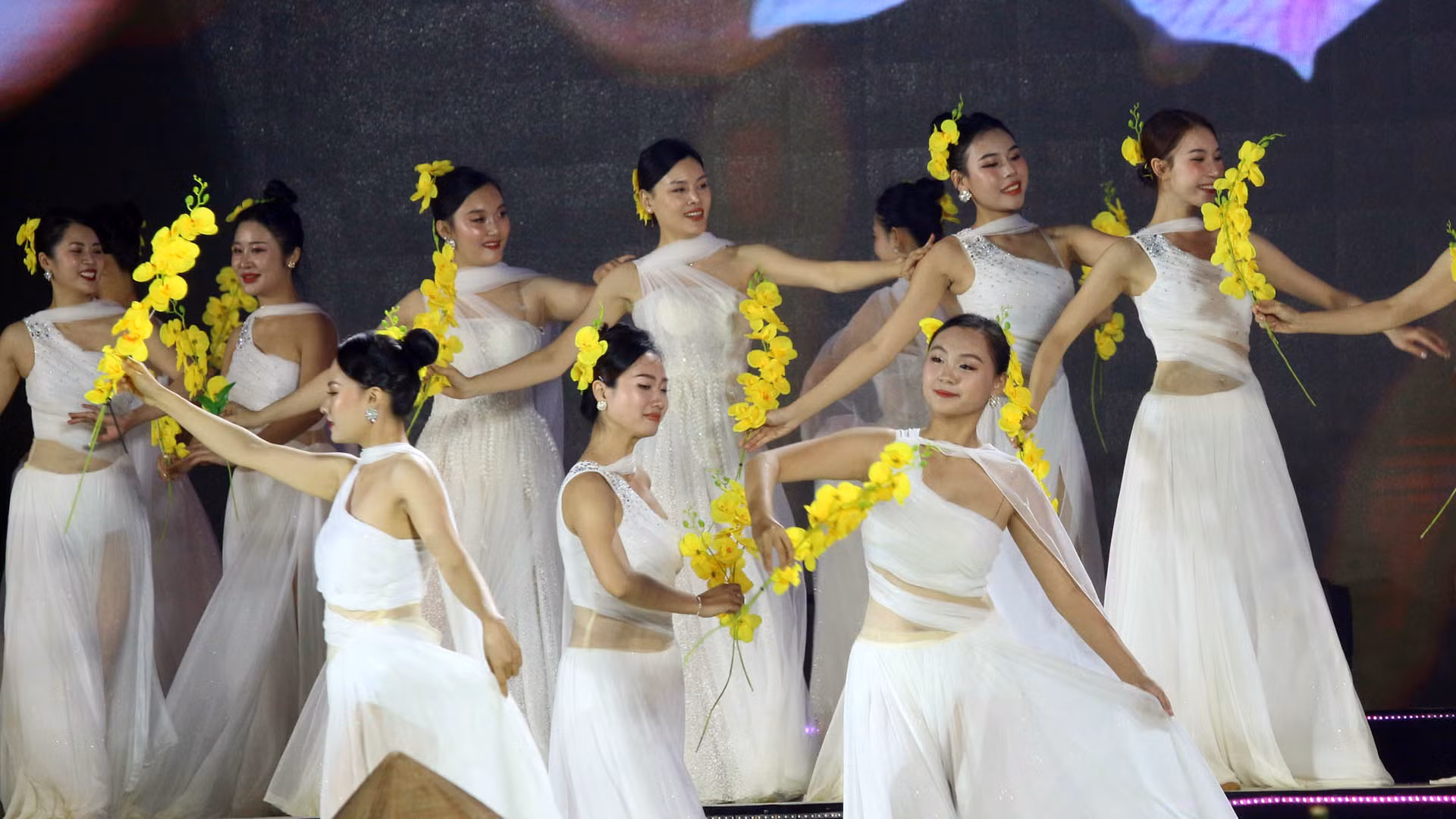 Cùng với "hương trà, sắc tơ", Bảo Lộc còn có sự hiện diện của loài hoa vương giả - phong lan.