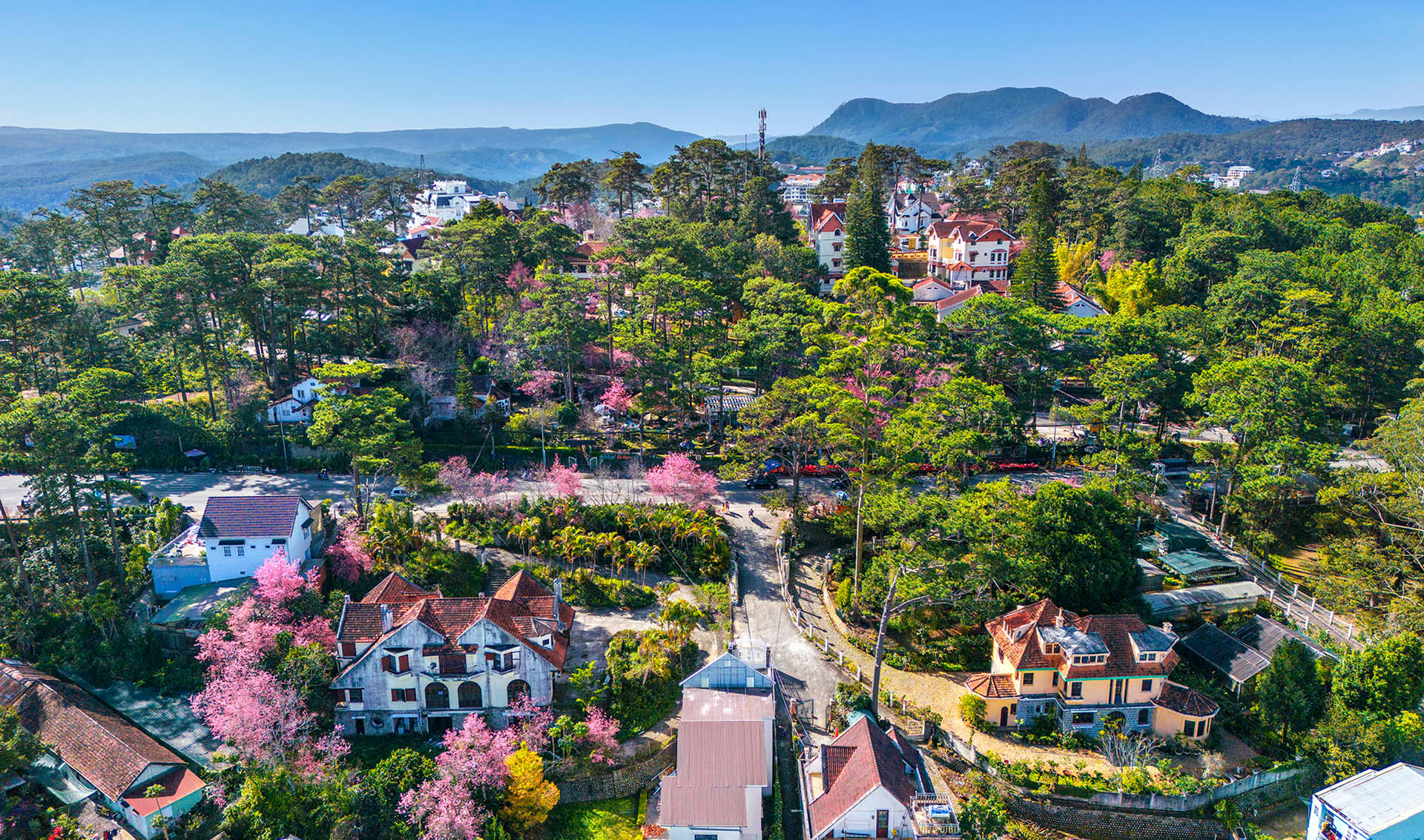 Sắc xuân phố núi Đà Lạt. (Ảnh: NGUYỄN TẤT THẮNG) Sắc xuân phố núi Đà Lạt. (Ảnh: NGUYỄN TẤT THẮNG)