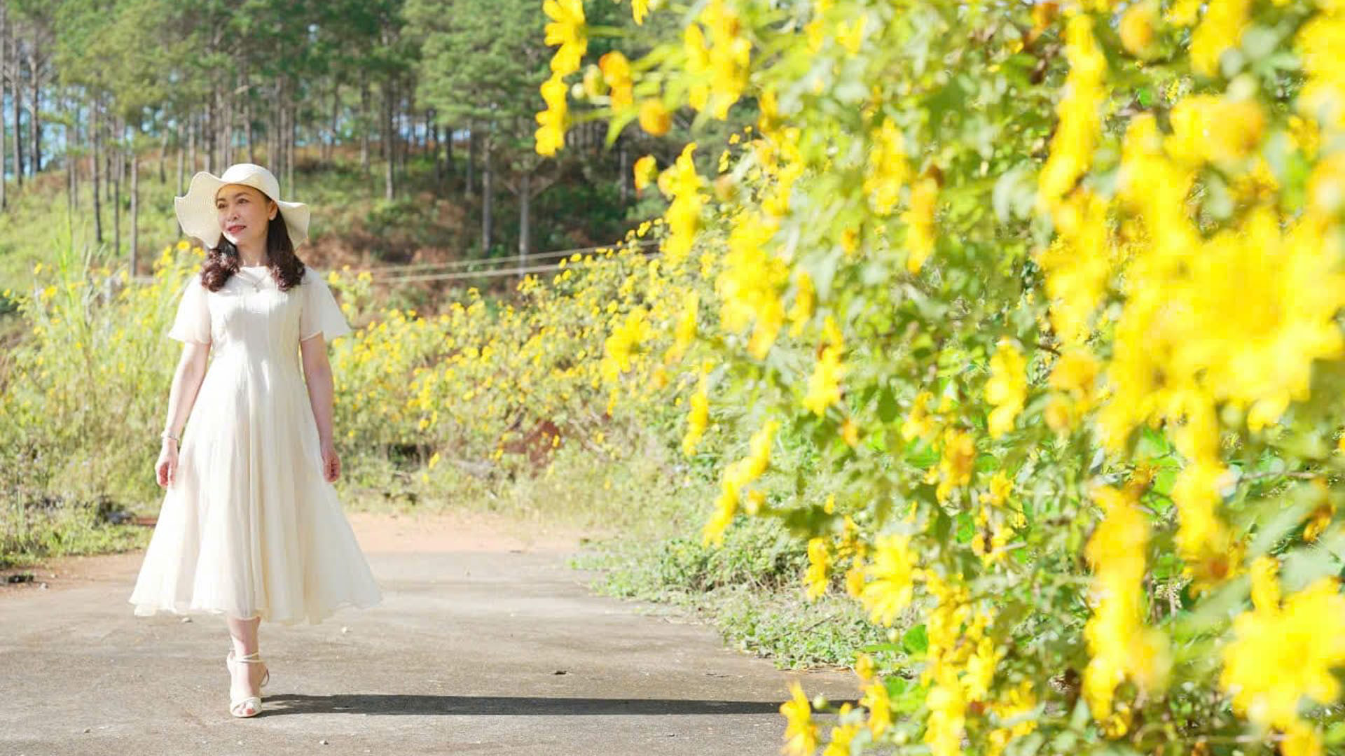 Ai từng đến cao nguyên Langbiang mùa nắng lạnh - mùa hoa vàng đến độ... và phiêu lãng qua những cung đường không vướng nhịp điệu phố hẳn sẽ luyến lưu, hoài nhớ. Ai từng đến cao nguyên Langbiang mùa nắng lạnh - mùa hoa vàng đến độ... và phiêu lãng qua những cung đường không vướng nhịp điệu phố hẳn sẽ luyến lưu, hoài nhớ.