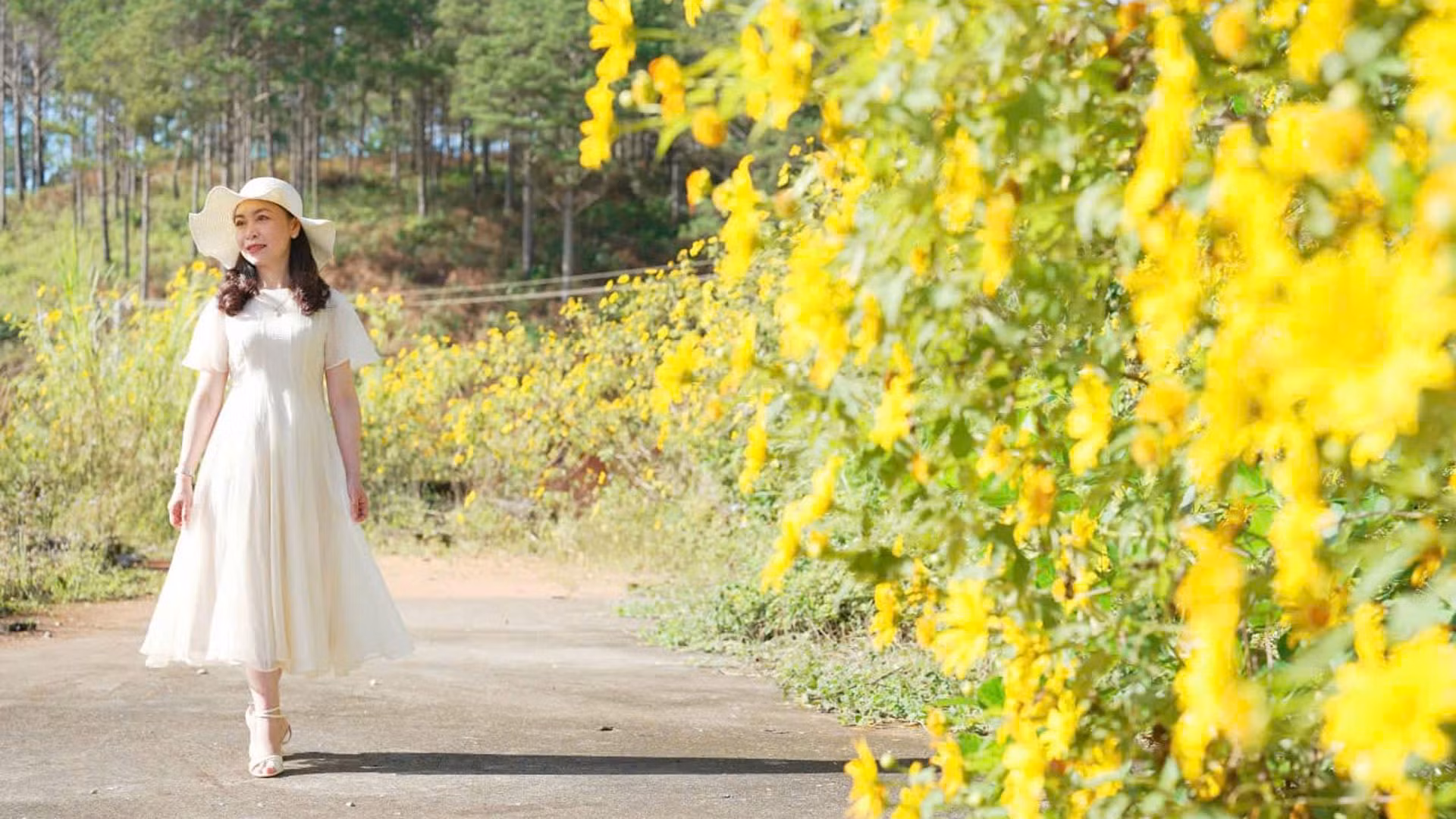 Ai từng đến cao nguyên Langbiang mùa nắng lạnh - mùa hoa vàng đến độ... và phiêu lãng qua những cung đường không vướng nhịp điệu phố hẳn sẽ luyến lưu, hoài nhớ.