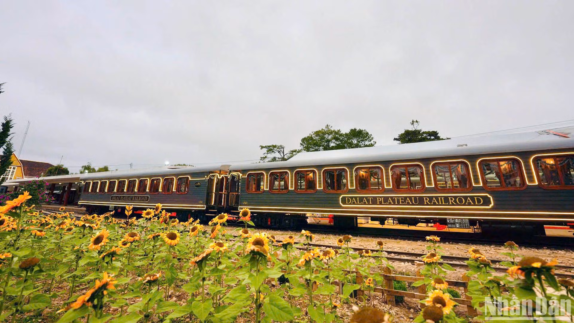 Tổng Công ty Đường sắt Việt Nam chính thức đưa vào khai thác đoàn tàu La Reine phục vụ hành khách trên tuyến Đà Lạt - Trại Mát.