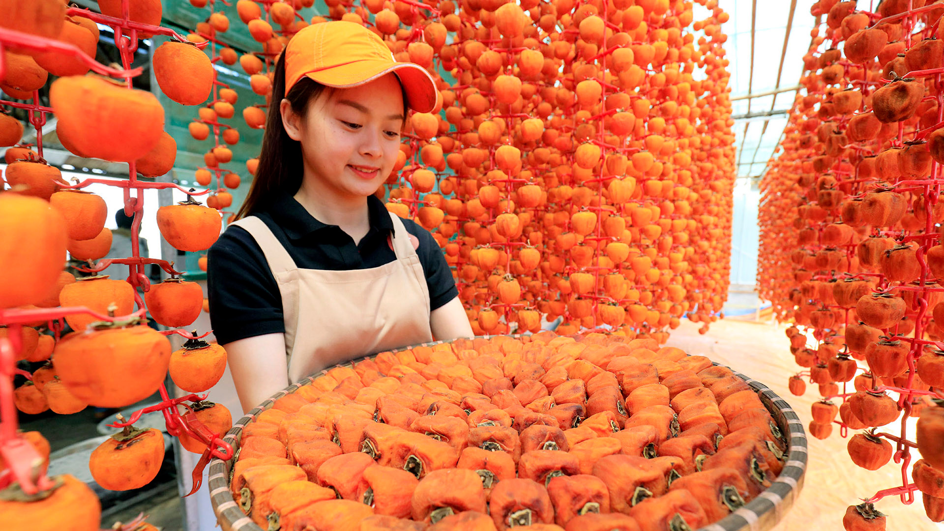 Cùng với thưởng thức trái hồng tươi, người tiêu dùng còn có thể lựa chọn nhiều món đặc sản hấp dẫn từ trái hồng Đà Lạt, như hồng sấy dẻo, hồng treo gió, hồng giòn, rượu hồng và mứt hồng... Cùng với thưởng thức trái hồng tươi, người tiêu dùng còn có thể lựa chọn nhiều món đặc sản hấp dẫn từ trái hồng Đà Lạt, như hồng sấy dẻo, hồng treo gió, hồng giòn, rượu hồng và mứt hồng...