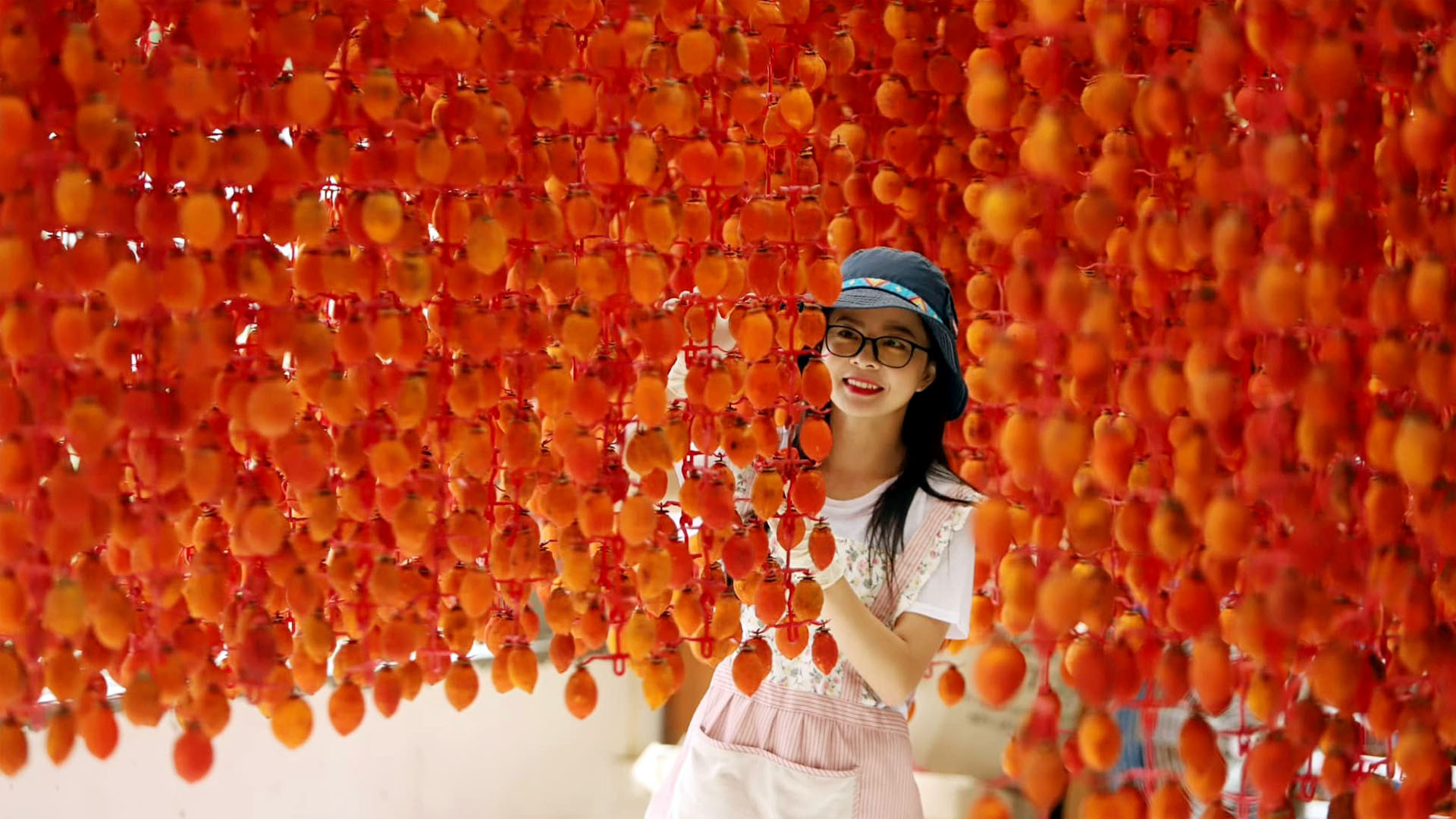 Phố núi vào đông, mùa nắng lạnh, khoảng tháng 11 đến hết tháng 12, lá hồng bắt đầu rụng, những trái hồng chuyển màu cam, người Ðà Lạt bắt đầu làm hồng treo gió. Lan Anh, chủ một thương hiệu hồng đặc sản Đà Lạt chia sẻ, dù đã trở nên thân quen, song những mùa hồng đều làm cô thích thú và chắc chắn không thể thiếu những khuôn hình mùa hồng Đà Lạt. Phố núi vào đông, mùa nắng lạnh, khoảng tháng 11 đến hết tháng 12, lá hồng bắt đầu rụng, những trái hồng chuyển màu cam, người Ðà Lạt bắt đầu làm hồng treo gió. Lan Anh, chủ một thương hiệu hồng đặc sản Đà Lạt chia sẻ, dù đã trở nên thân quen, song những mùa hồng đều làm cô thích thú và chắc chắn không thể thiếu những khuôn hình mùa hồng Đà Lạt.