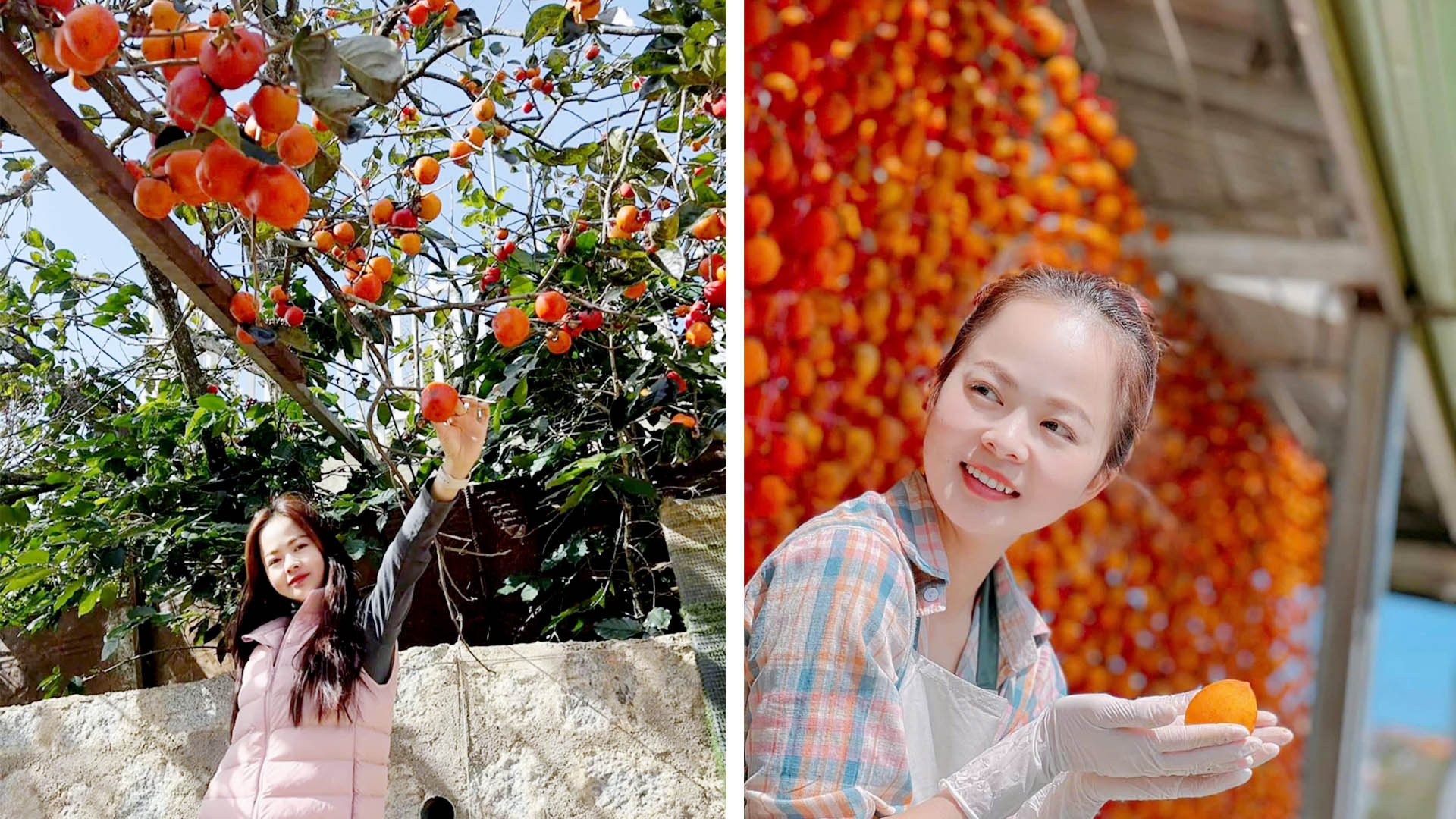 Đà Lạt mùa hồng chín trở thành dư vị ngọt ngào, lãng mạn với du khách khi trải nghiệm thành phố ngàn hoa. Phong cảnh thiên nhiên, di sản văn hóa, nét duyên người Đà Lạt... và cảnh sắc vườn hồng, chắc chắn sẽ làm du khách vấn vương... Đà Lạt mùa hồng chín trở thành dư vị ngọt ngào, lãng mạn với du khách khi trải nghiệm thành phố ngàn hoa. Phong cảnh thiên nhiên, di sản văn hóa, nét duyên người Đà Lạt... và cảnh sắc vườn hồng, chắc chắn sẽ làm du khách vấn vương...