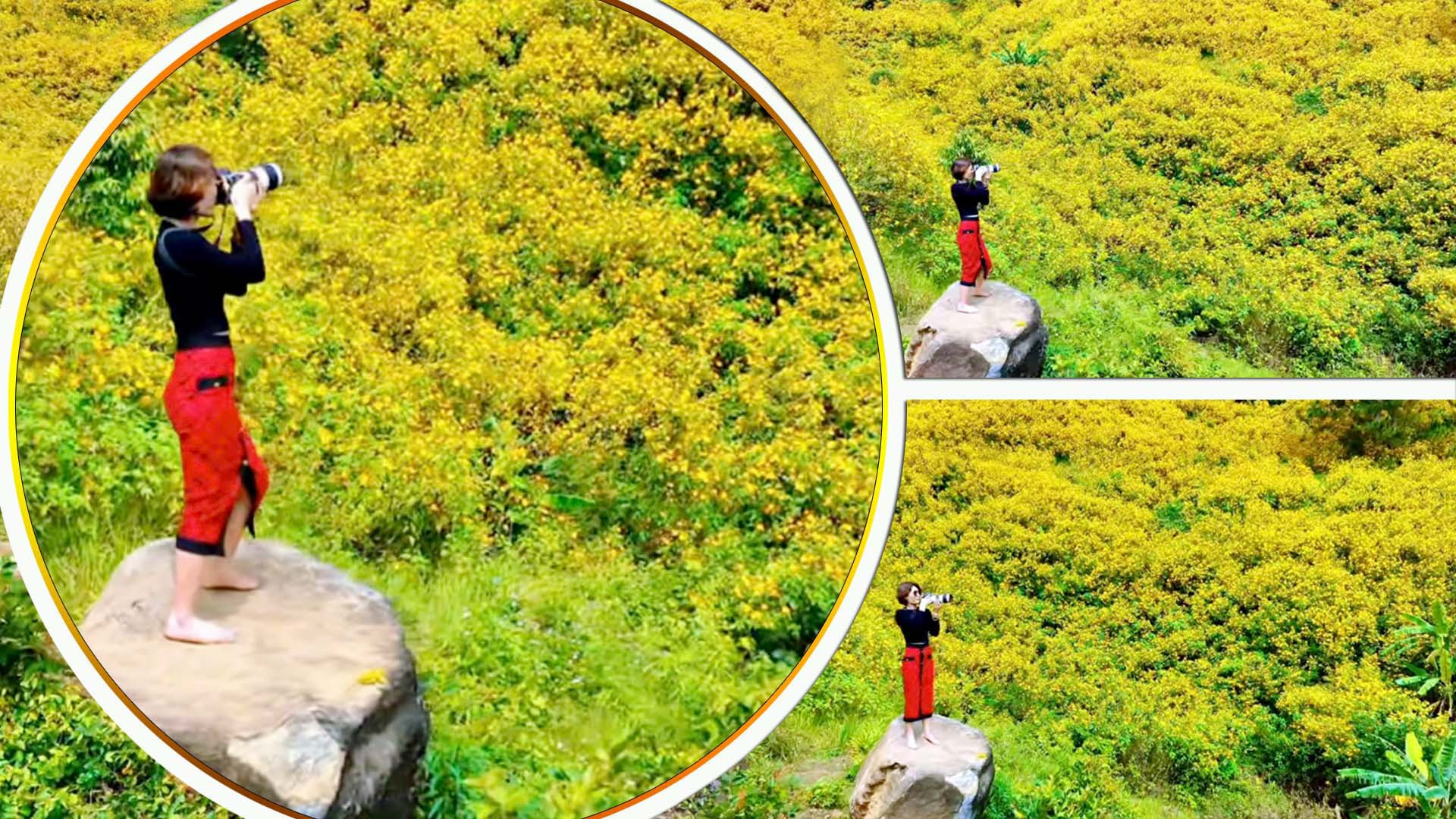 Chiều bềnh bồng như lời ca giữa triền thung nắng gió. Sắc vàng hoang dại mê hoặc bước chân lữ khách. Đây là khoảnh khắc 360 độ được ghi ở thung lũng bên cao tốc Liên Khương-Prenn, khu vực xã Hiệp An, huyện Đức Trọng, Lâm Đồng. Chiều bềnh bồng như lời ca giữa triền thung nắng gió. Sắc vàng hoang dại mê hoặc bước chân lữ khách. Đây là khoảnh khắc 360 độ được ghi ở thung lũng bên cao tốc Liên Khương-Prenn, khu vực xã Hiệp An, huyện Đức Trọng, Lâm Đồng.