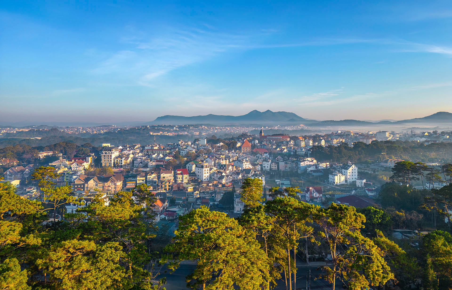 Phố trong rừng. (Ảnh: NGUYỄN TẤT THẮNG) Phố trong rừng. (Ảnh: NGUYỄN TẤT THẮNG)