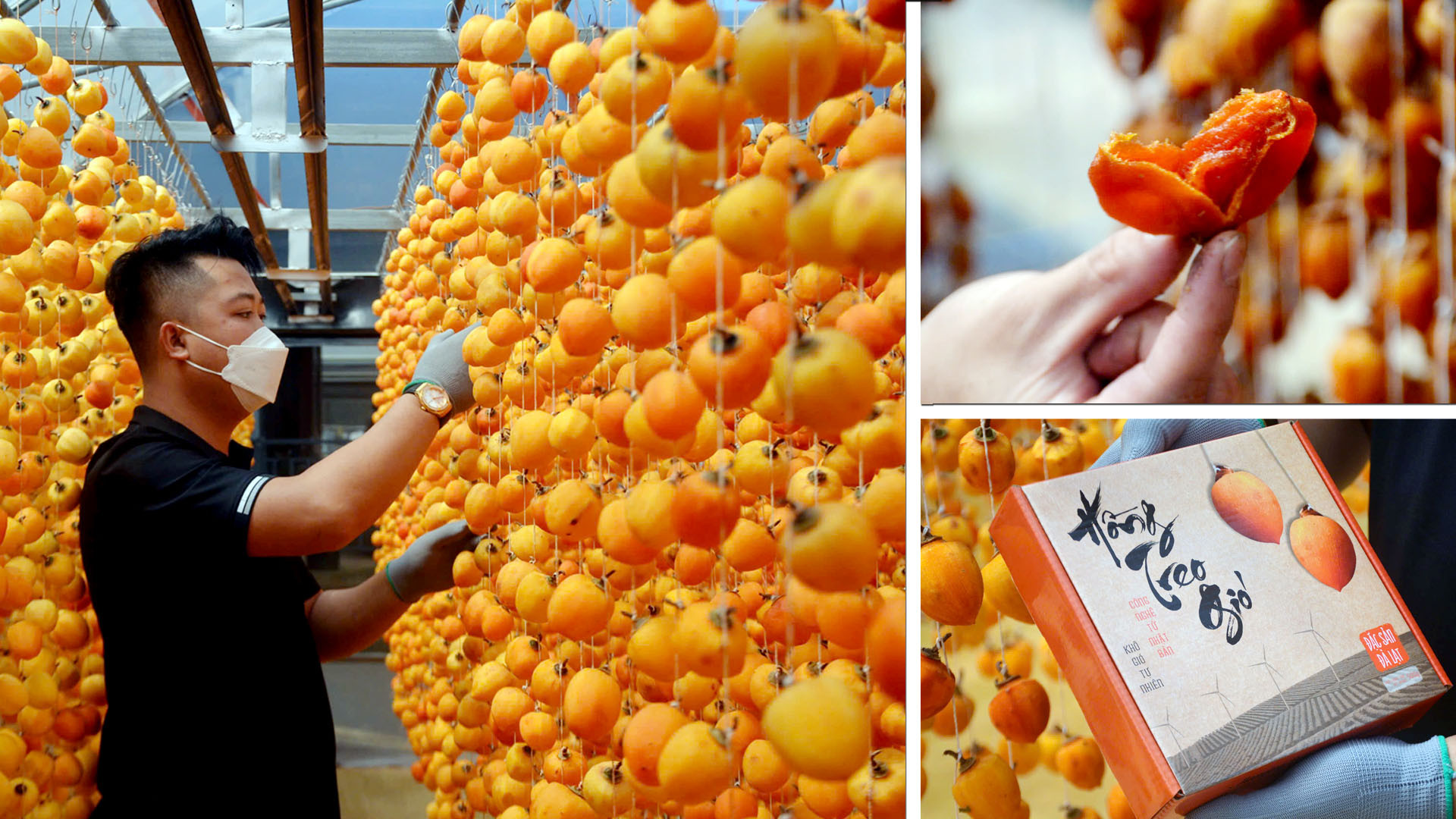 Khi quá trình "treo gió" hoàn tất, trái hồng chuyển màu nâu mật và được hạ giàn, cắt cuống, sau đó đóng gói thành phẩm. Hiện, đặc sản hồng Đà Lạt rất được ưa chuộng và luôn theo hành trang du khách sau mỗi chuyến trải nghiệm xứ ngàn hoa. Khi quá trình "treo gió" hoàn tất, trái hồng chuyển màu nâu mật và được hạ giàn, cắt cuống, sau đó đóng gói thành phẩm. Hiện, đặc sản hồng Đà Lạt rất được ưa chuộng và luôn theo hành trang du khách sau mỗi chuyến trải nghiệm xứ ngàn hoa.