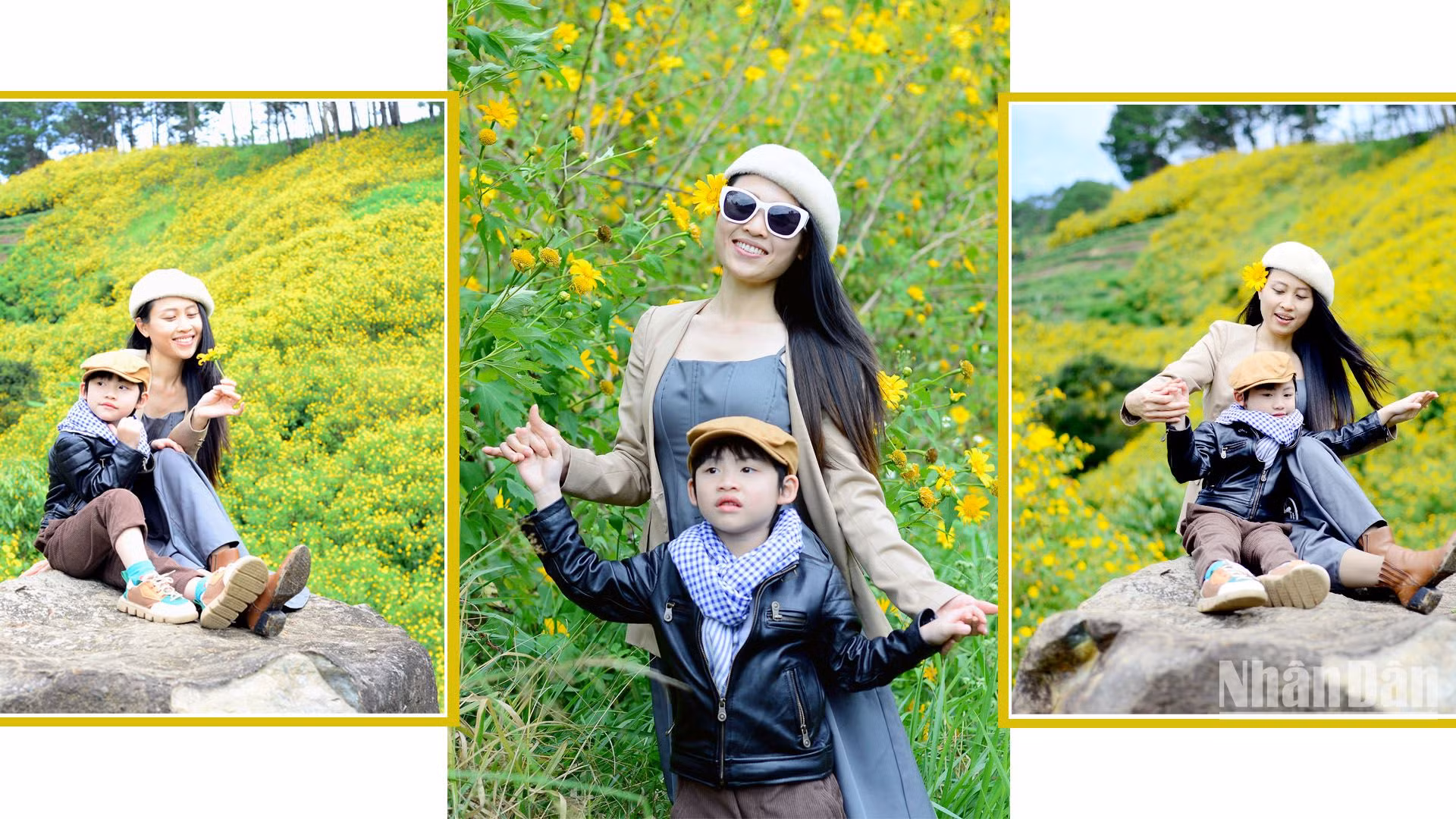 Dã quỳ, loài hoa hoang dại dung dị đã trở nên thân thuộc, quyến luyến người dân địa phương và du khách khi đến với Đà Lạt (Lâm Đồng) vào dịp cuối thu, đầu đông hằng năm.