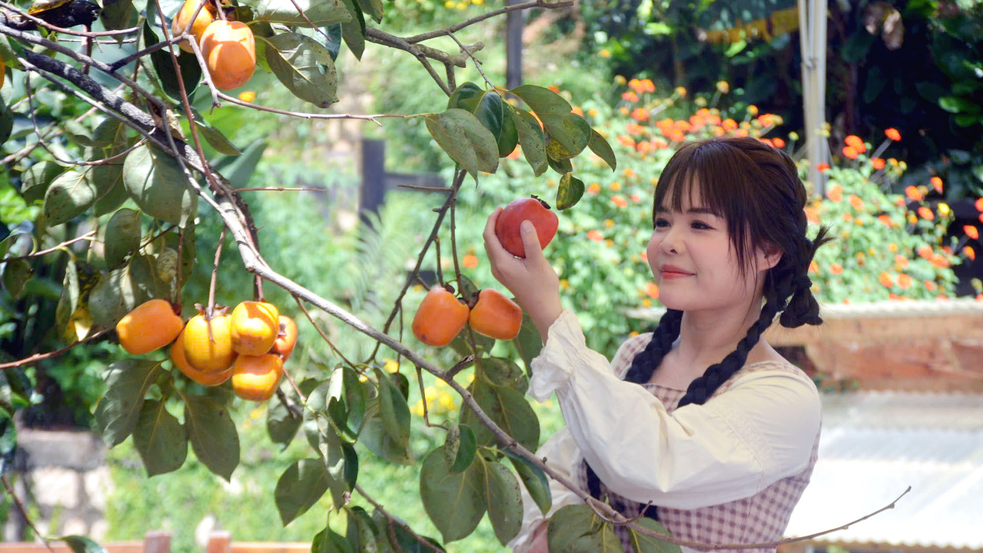 Cùng với trải nghiệm, dạo chơi trong những vườn hồng trĩu quả, du khách còn có cơ hội tự tay hái trái để làm những món ăn mà mình yêu thích. Cùng với trải nghiệm, dạo chơi trong những vườn hồng trĩu quả, du khách còn có cơ hội tự tay hái trái để làm những món ăn mà mình yêu thích.