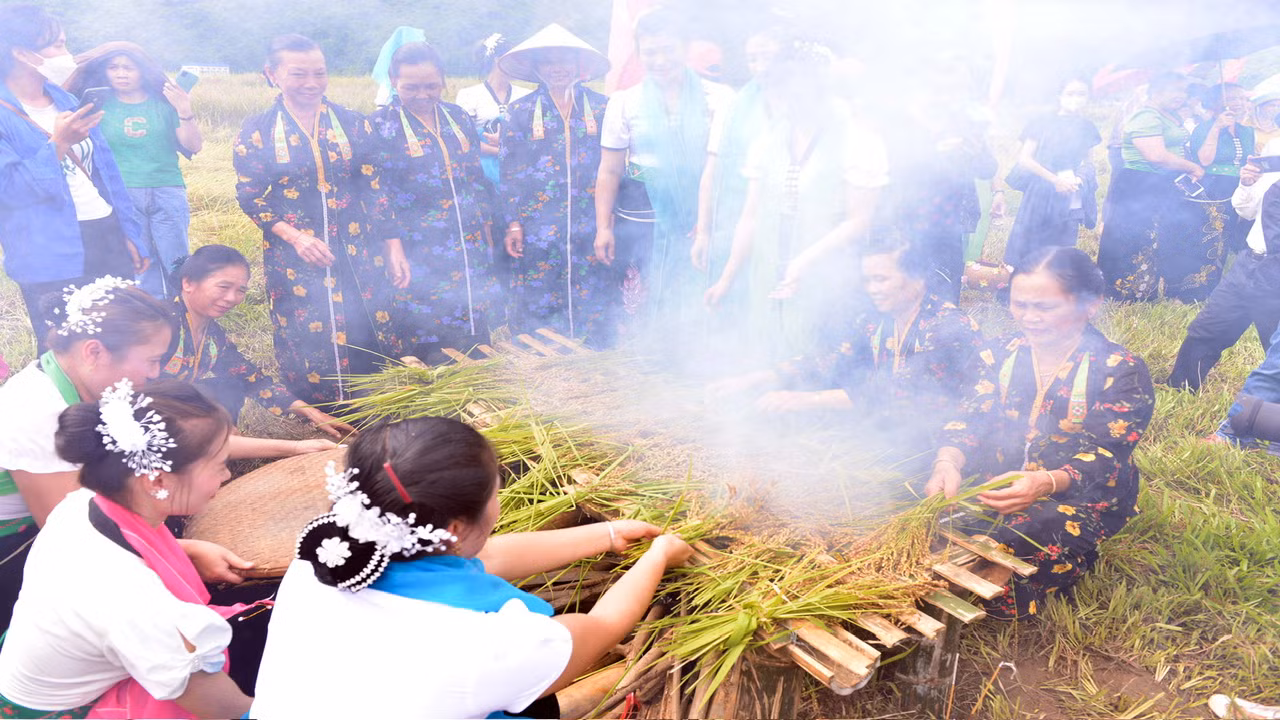 Sau khi cúng hồn lúa, đồng bào sẽ đem lúa đi nướng sao cho chín đều tới khi nứt hạt, dậy mùi thơm.
