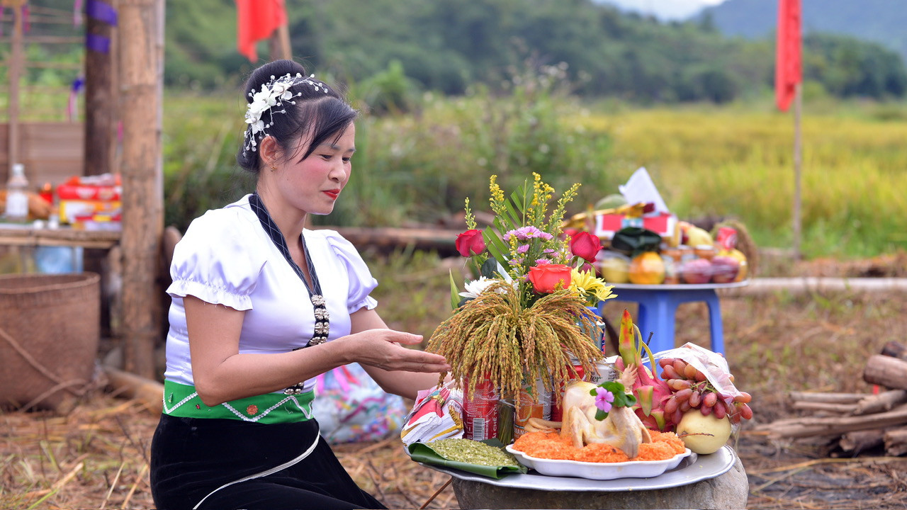 Lúa sau khi được cắt về sẽ được bày vào các mâm lễ để cúng hồn lúa.