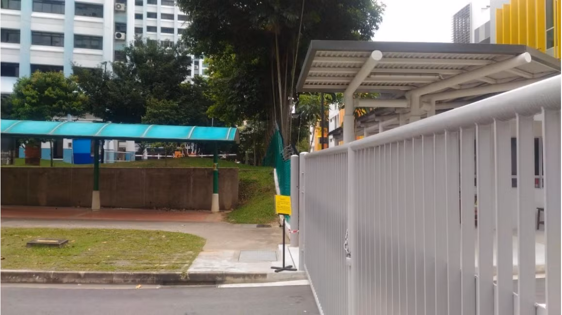 Singapore và 200km đường đi bộ có mái che ảnh 6